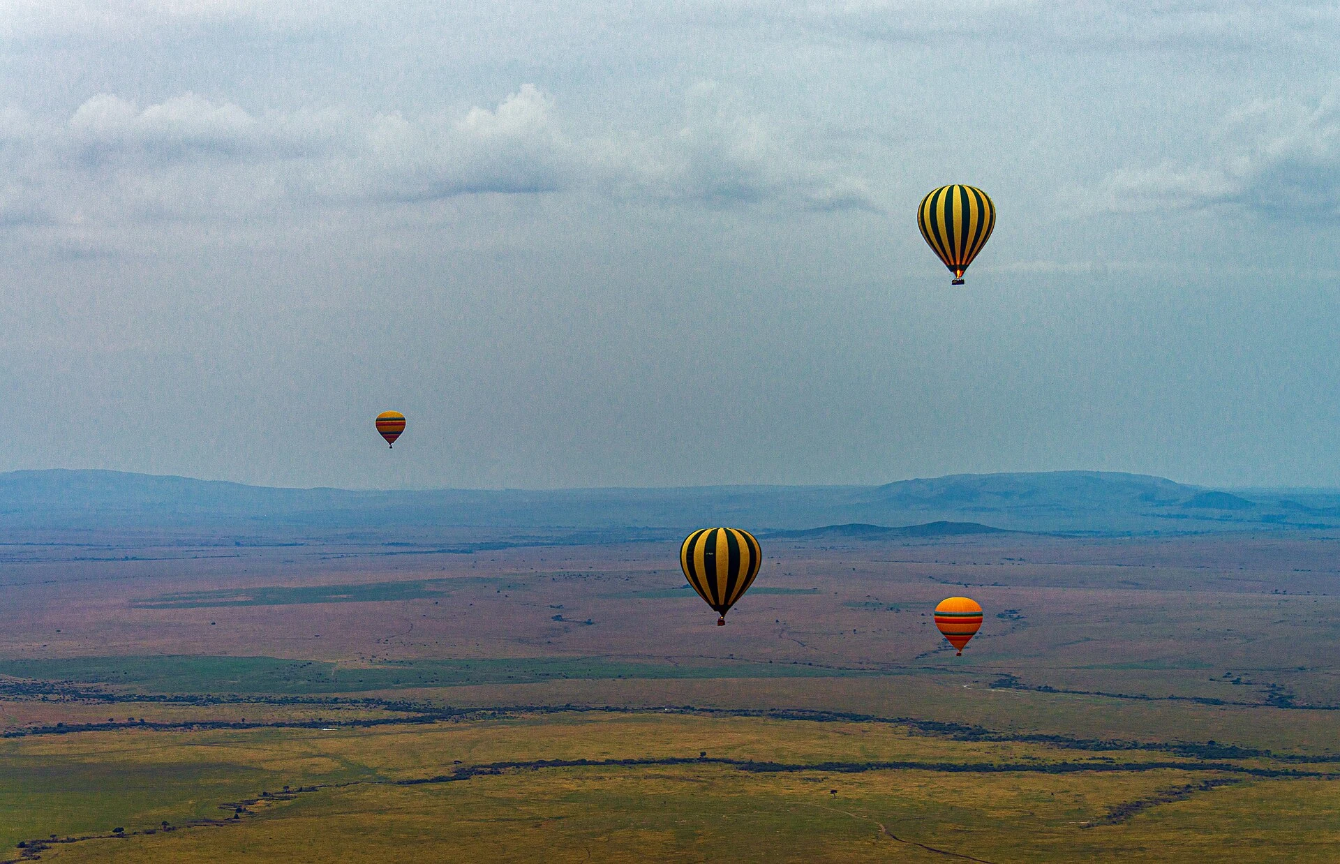 Hot-air balloons in the dawn sky over the Maasai Mara