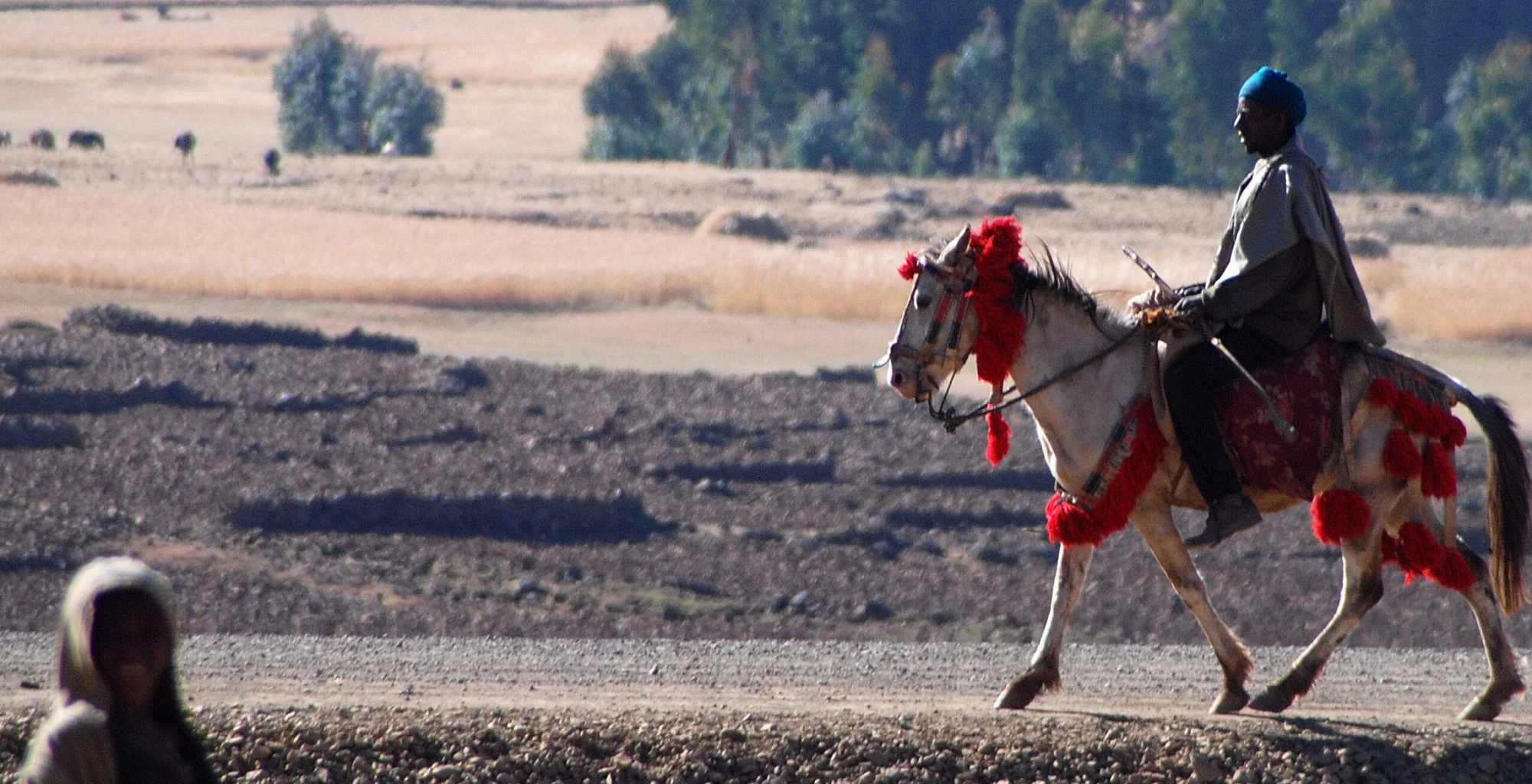 A man rides a horse with a red saddle cloth across fields near Lalibela.