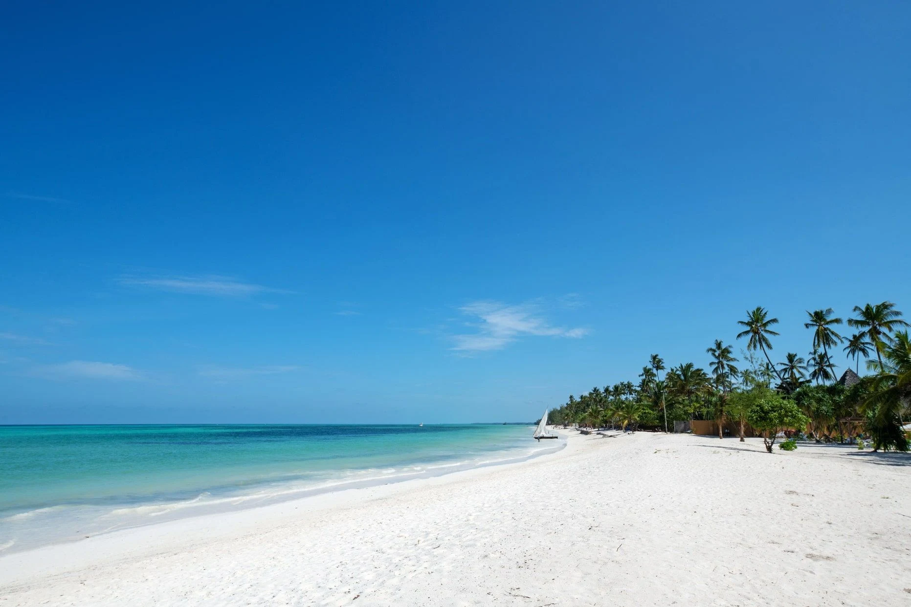 Wide white beach with a palm-lined horizon