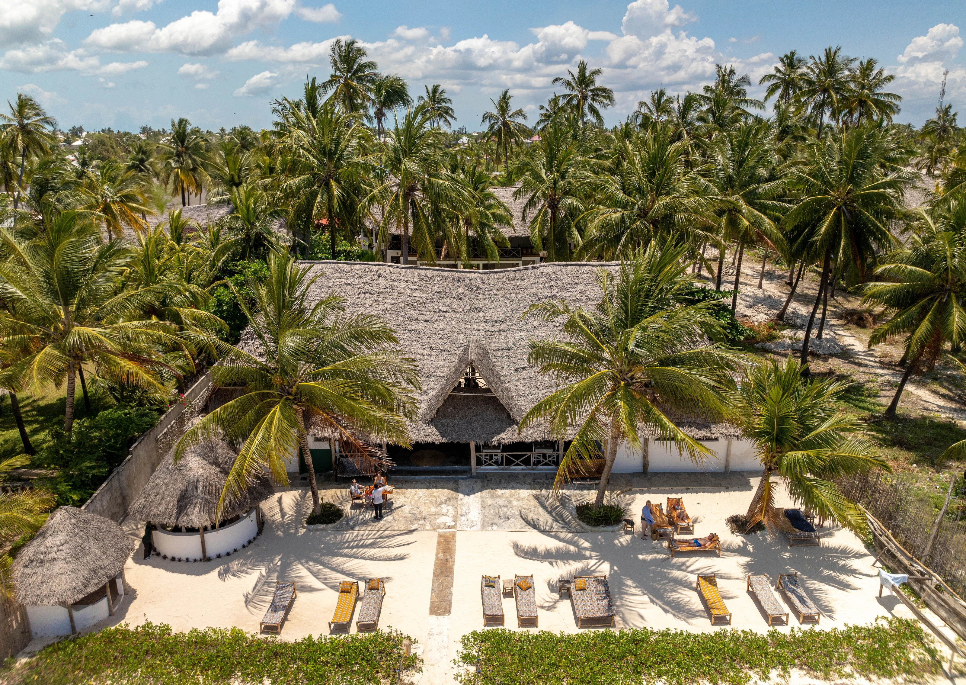 Thatched beachfront pavilions among palms beside white sand