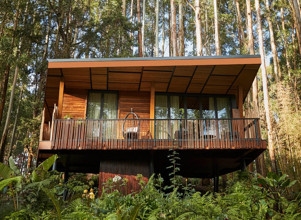 Timber cabin raised above the forest floor at One&Only Gorilla's Nest
