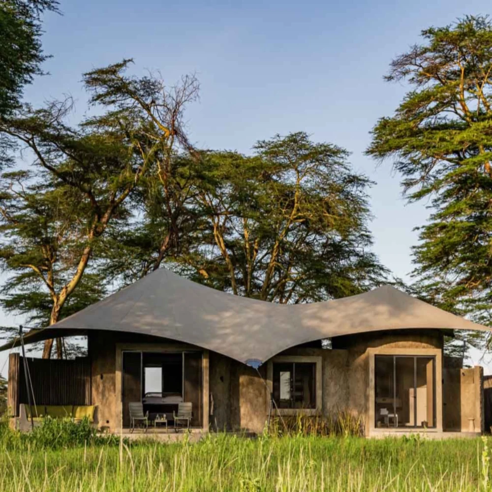Tented lodge cabins on grassland