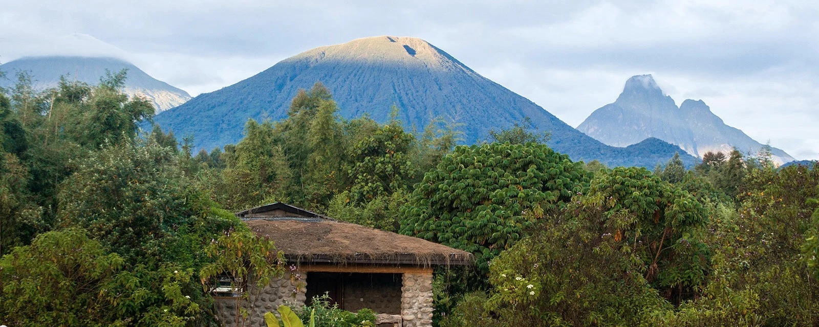 Mountain Gorilla View Lodge, Volcanoes National Park