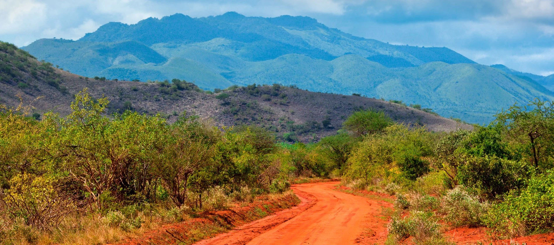 Red-earth track winding through green bush toward the Tsavo West hills