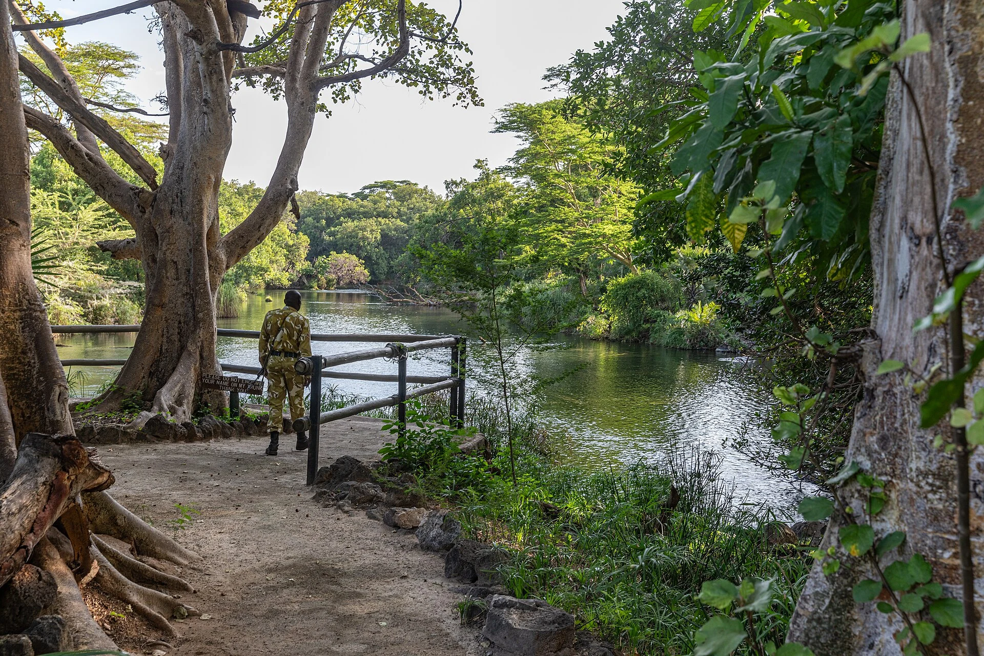 Pools among the trees at Mzima Springs in Tsavo West