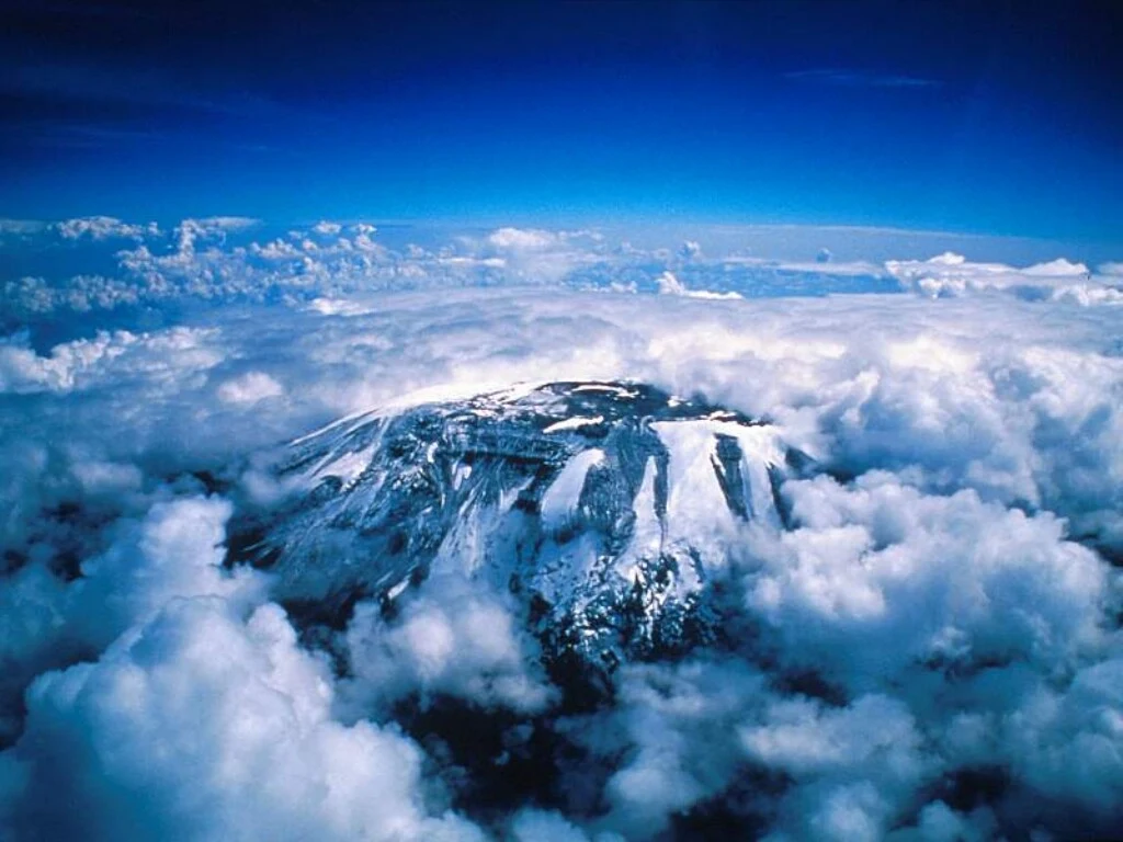 The snowy summit of Kilimanjaro rising above a sea of clouds