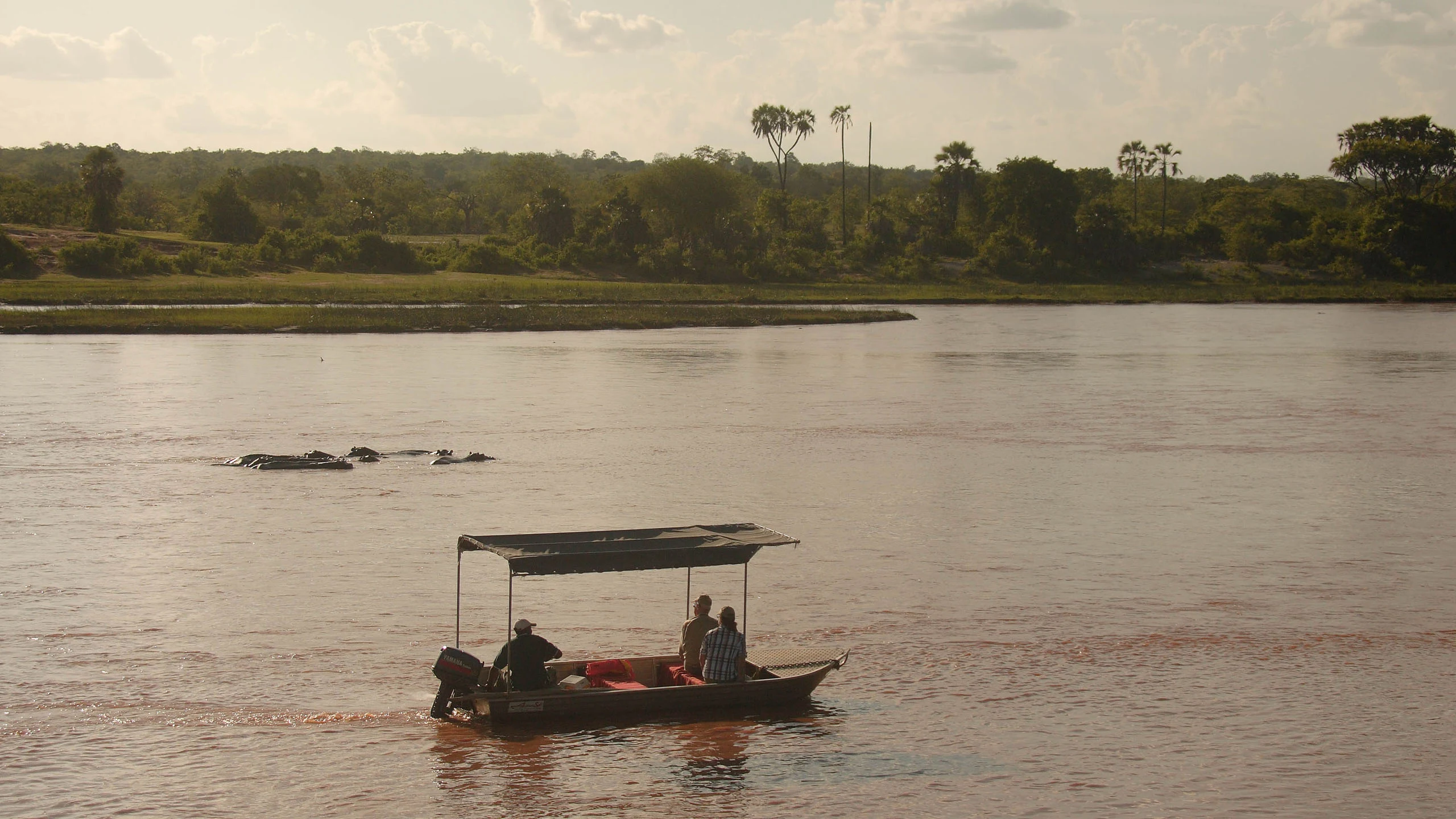 Three people ride in a small canopied motor launch on a broad river in Nyerere National Park, a pod of hippos in the water ahead