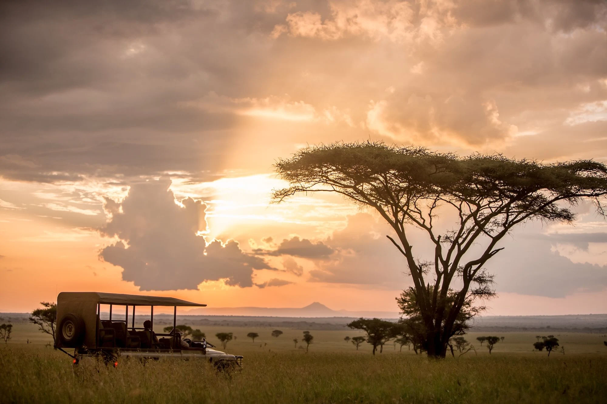 Safari vehicle and guests on a game drive in the Grumeti Reserve