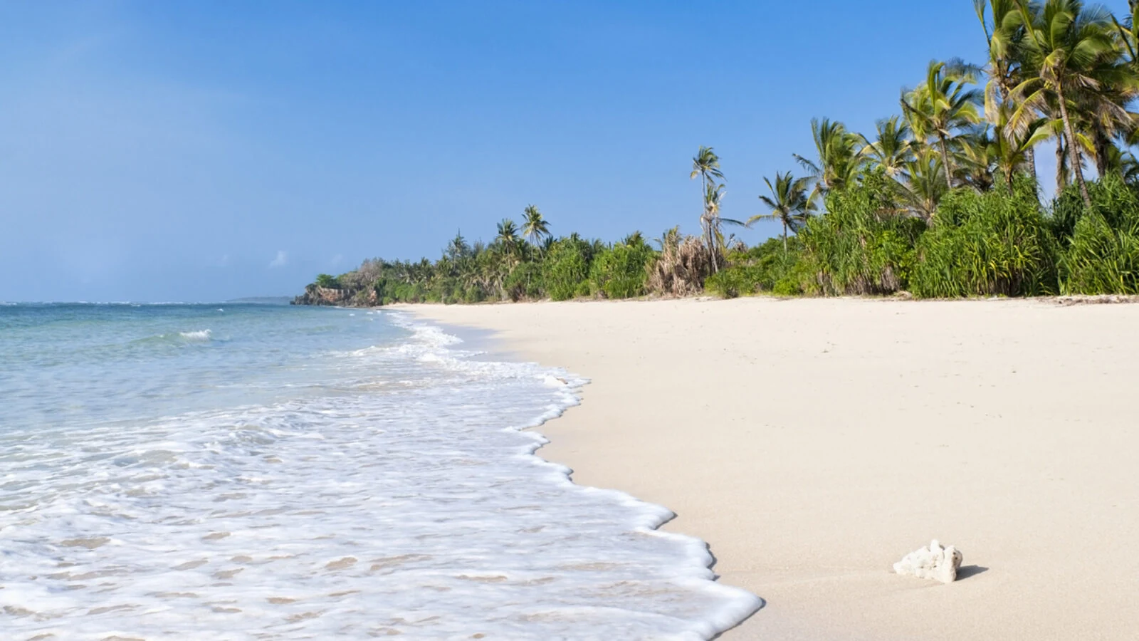 Shoreline with gentle waves and palm fringed white beach