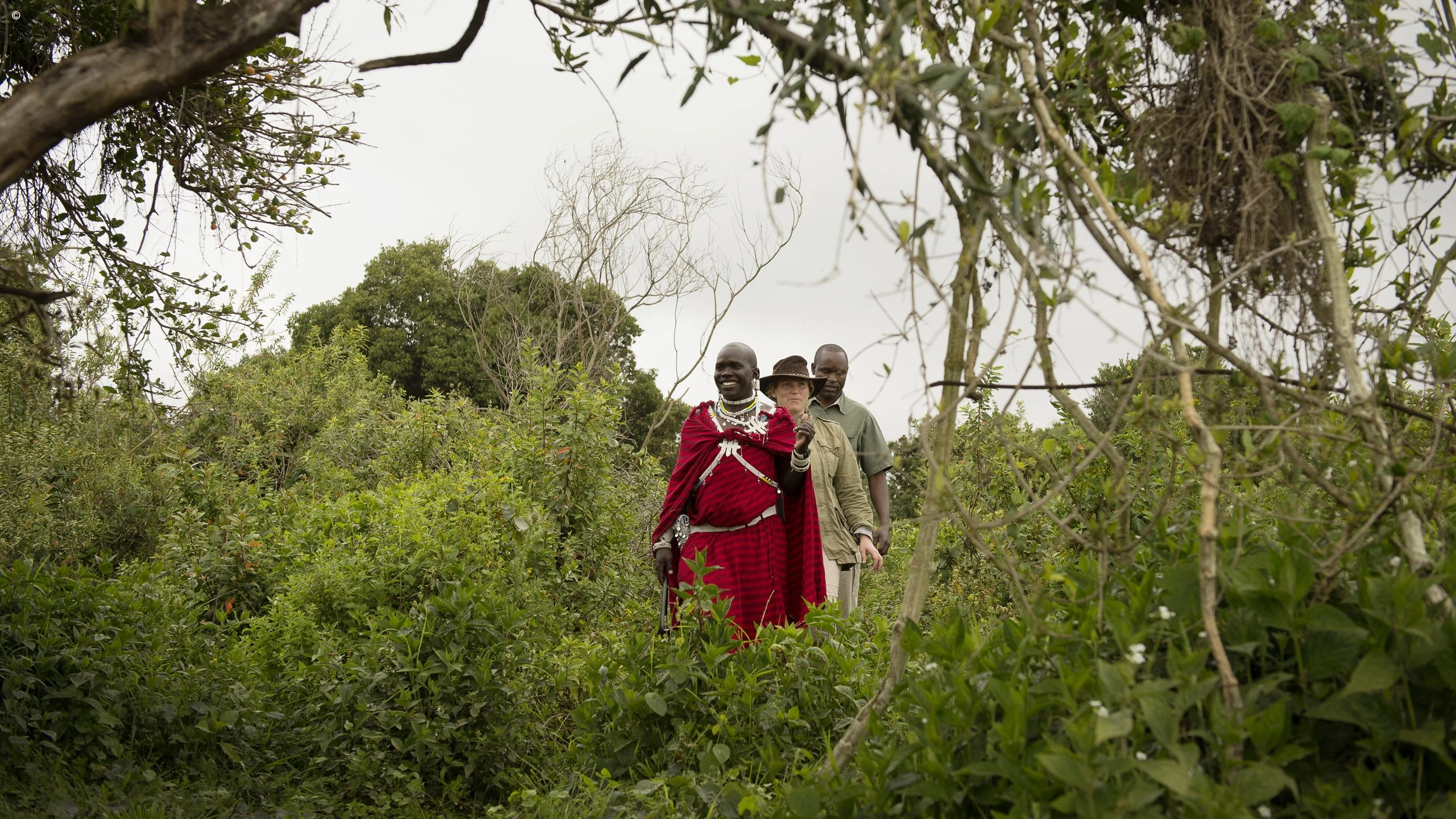 Guests walking with a red-clad guide through green highland bush
