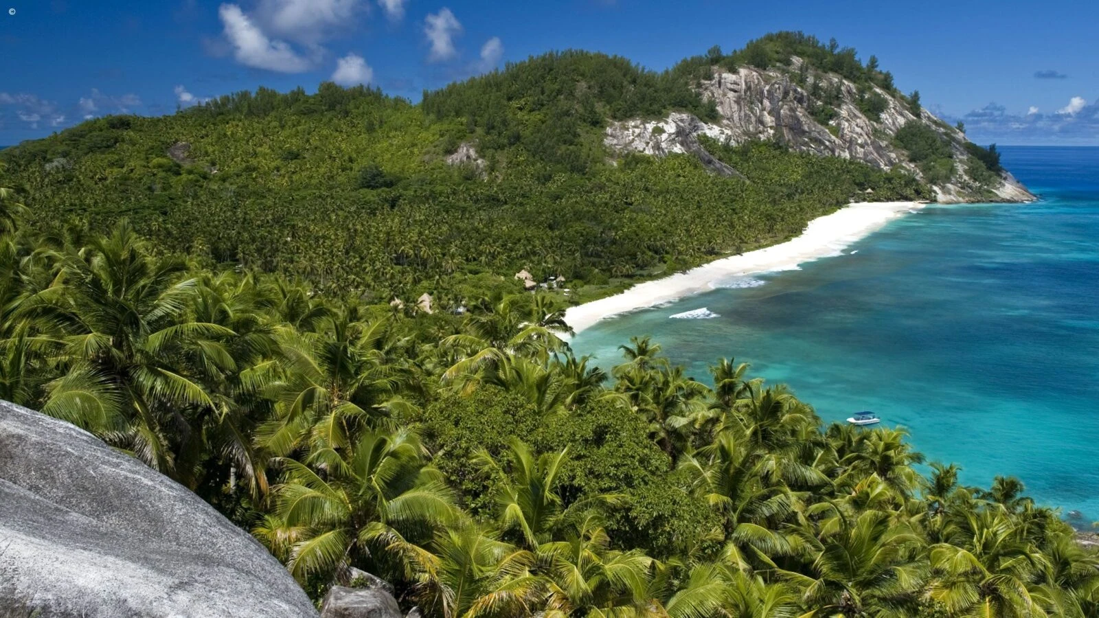 Aerial of a forested granite headland with palms and a white beach strip