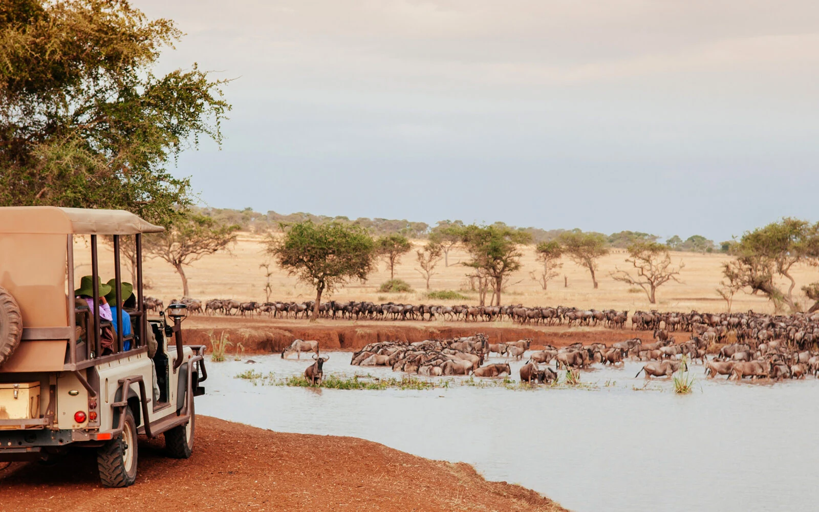 Safari vehicle at a river with wildebeest herd crossing in the distance