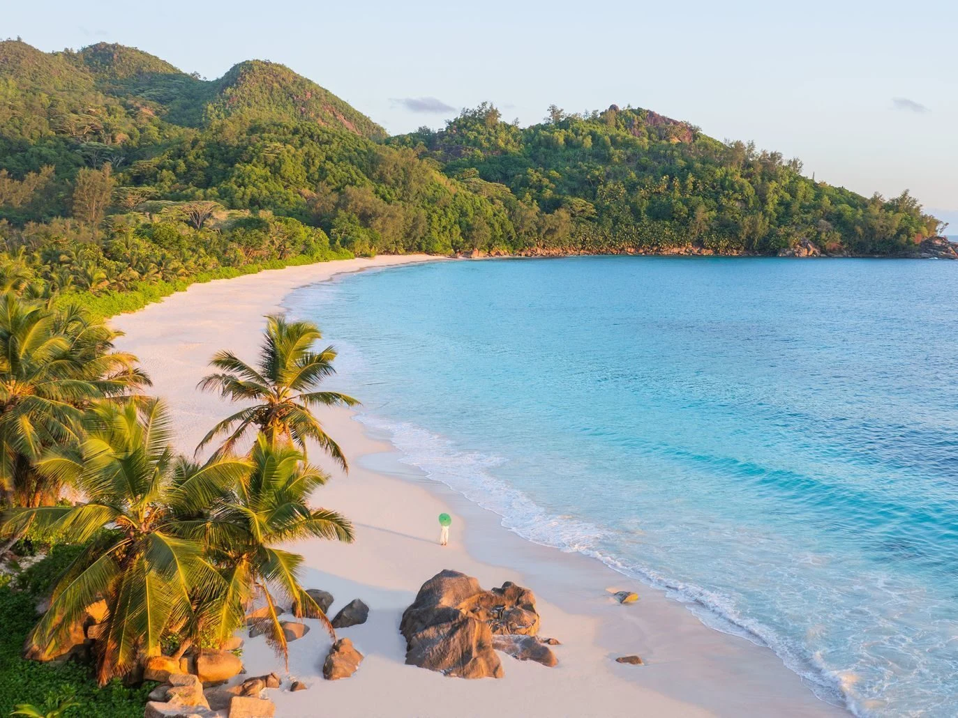 Palm lined tropical bay