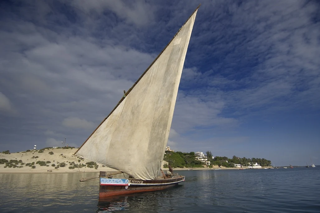 A dhow under full sail off the dunes of the Lamu archipelago