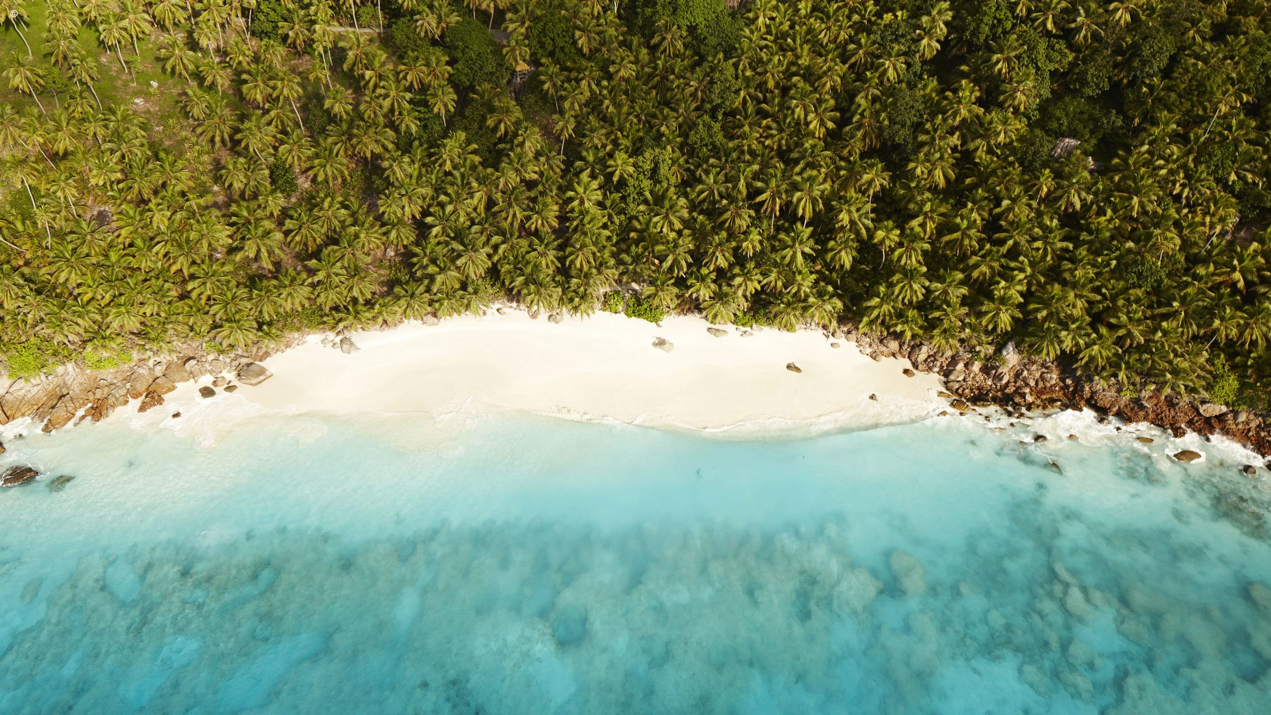 Aerial of a white sand cove below forest, turquoise water
