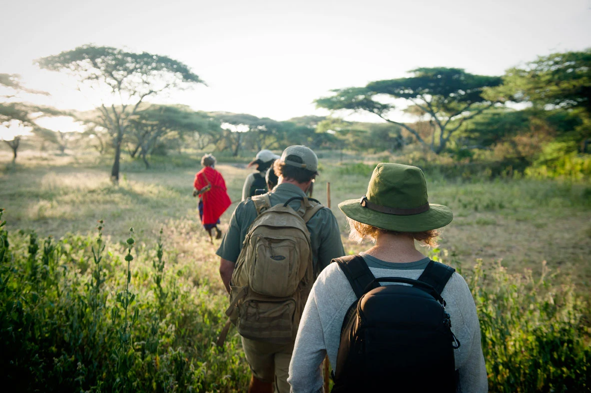 A walking safari group setting out through grassland in the Serengeti