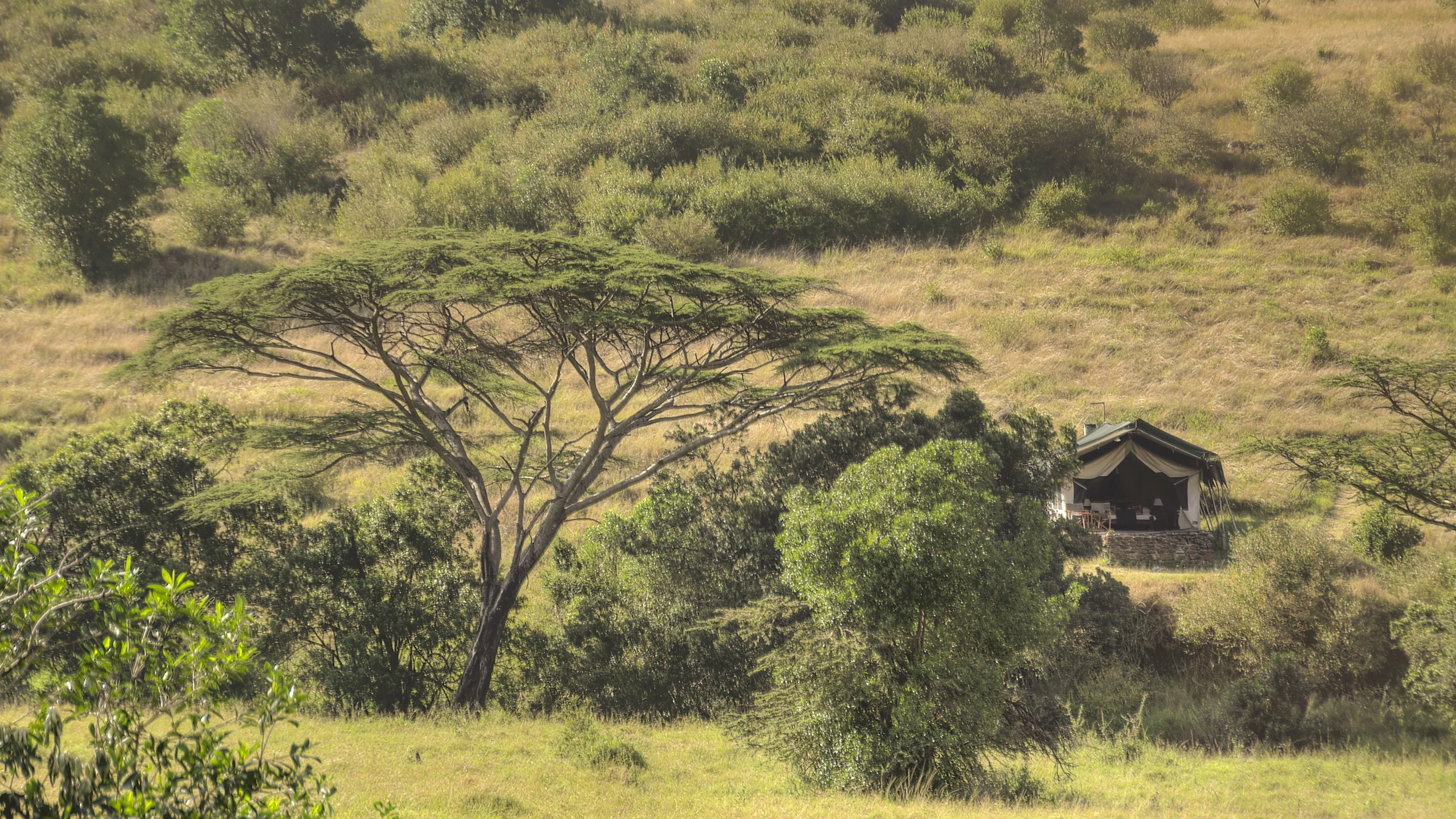Safari tent amid woodland at Kicheche Mara Camp