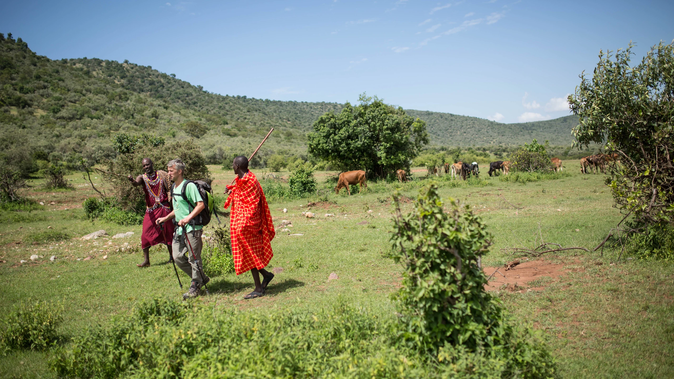 Walkers with guides in red crossing a green valley