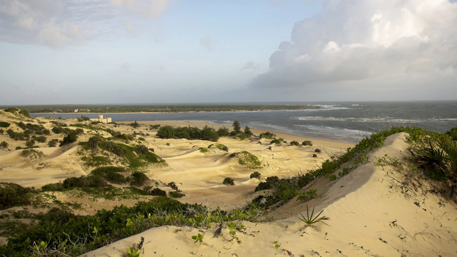 Sand dunes and scrub above a wide beach with cloudy sky