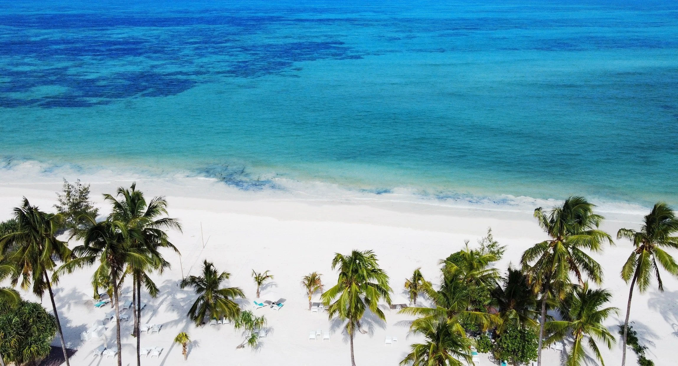 Palm-lined white beach seen from an elevated coastal viewpoint