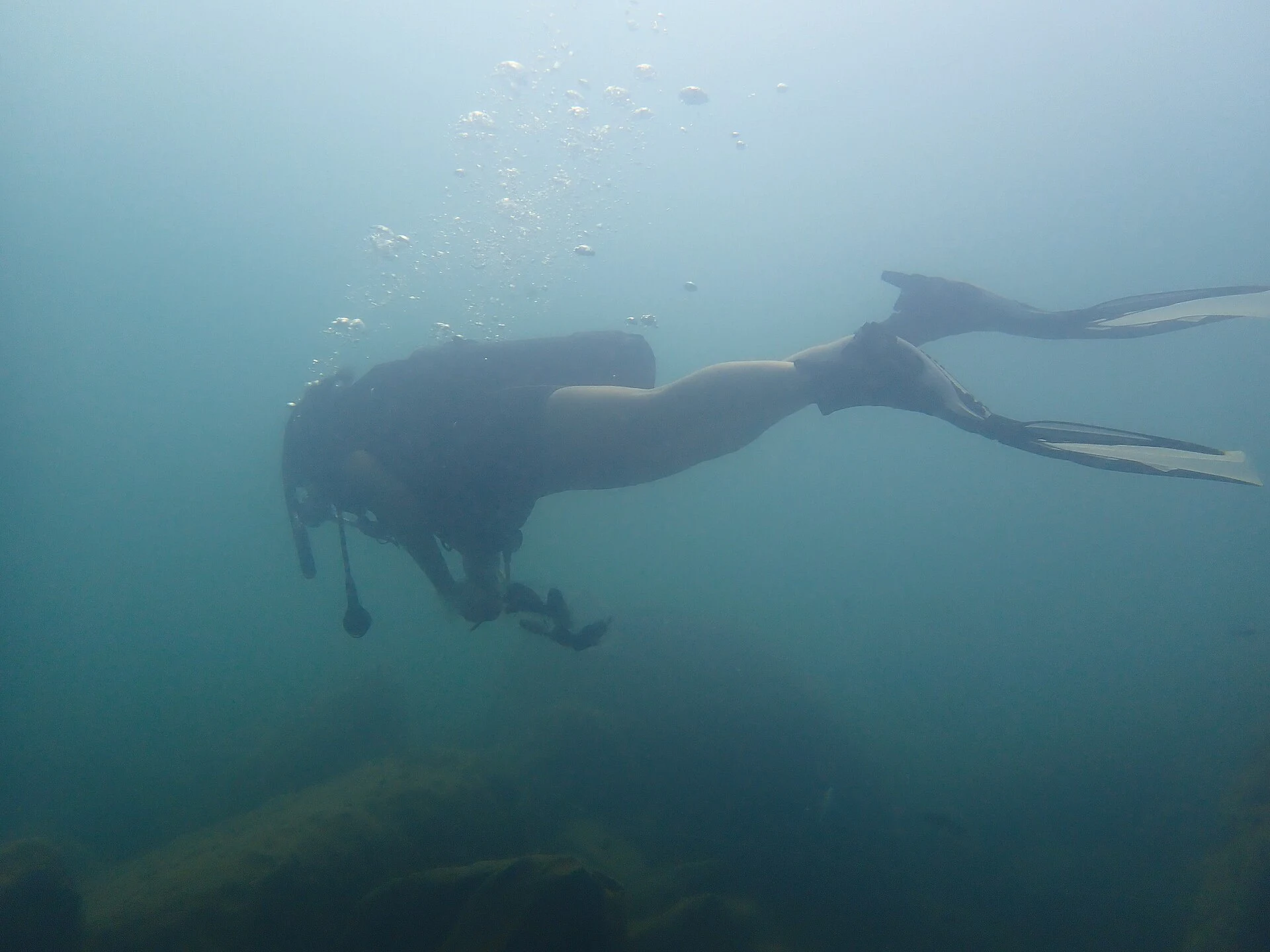 A diver searching for fish underwater in Lake Tanganyika