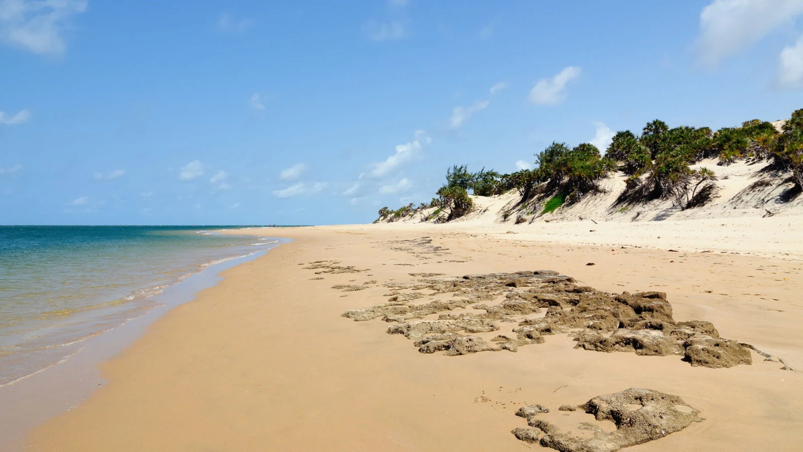 Empty golden beach with coral rock and dune scrub