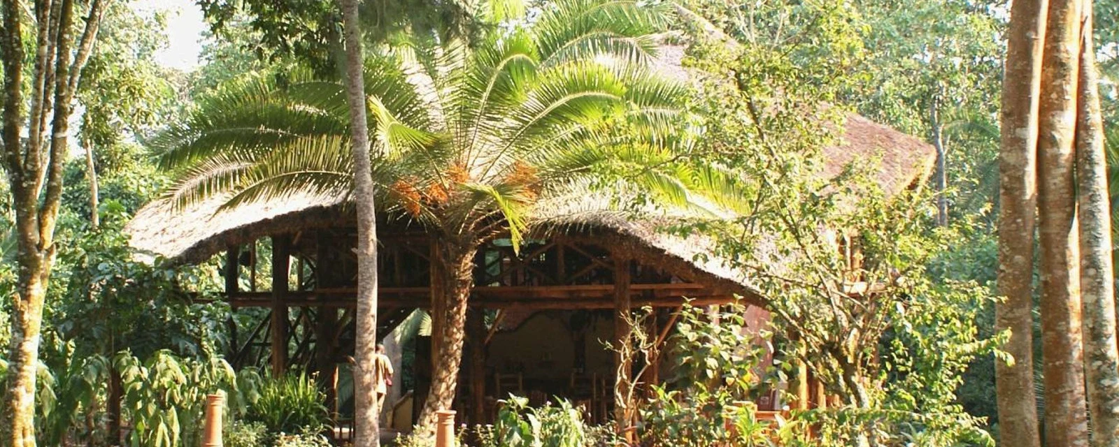 Kibale Forest Camp, Kibale