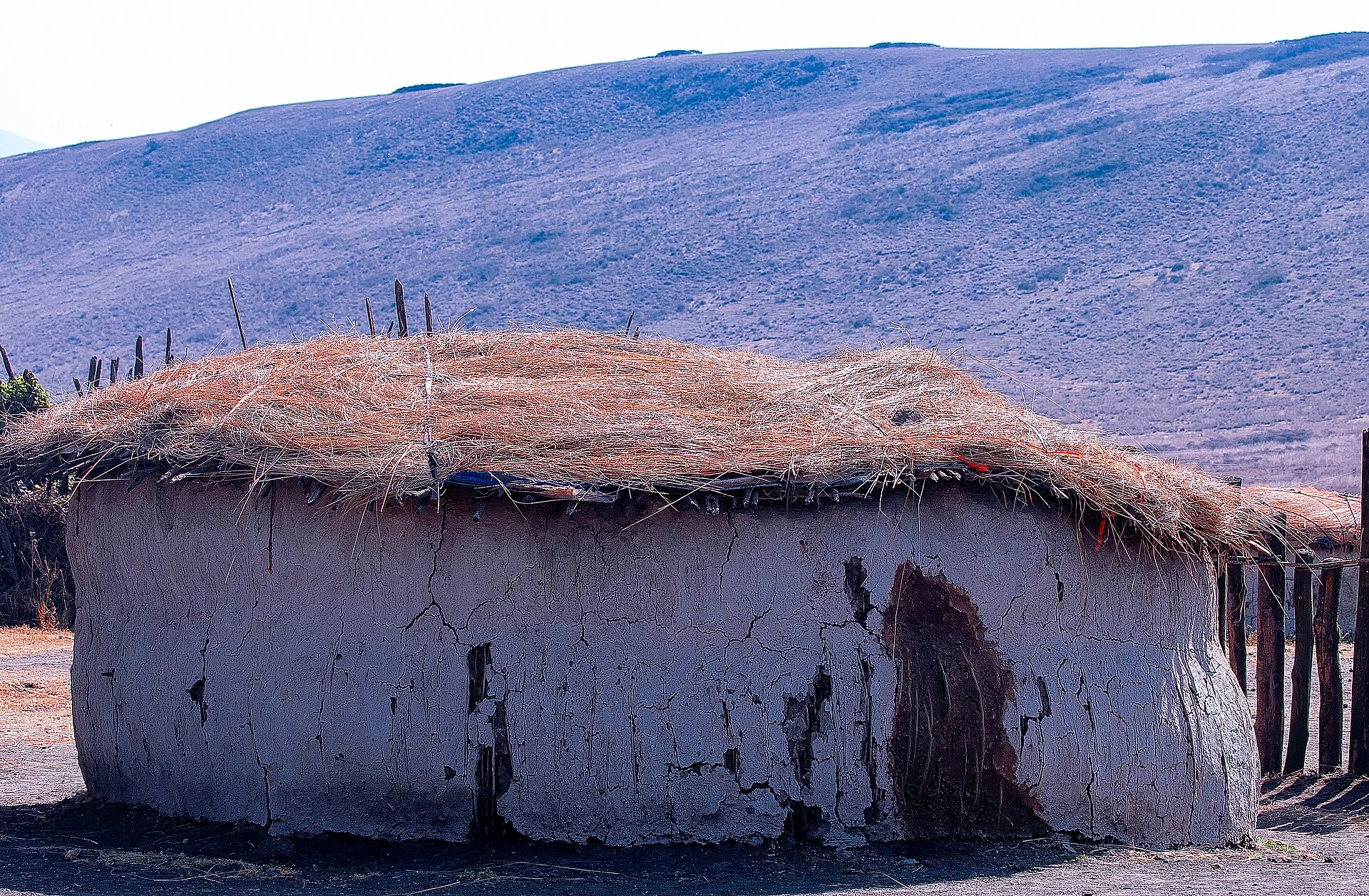 A traditional Maasai mud house inside a boma