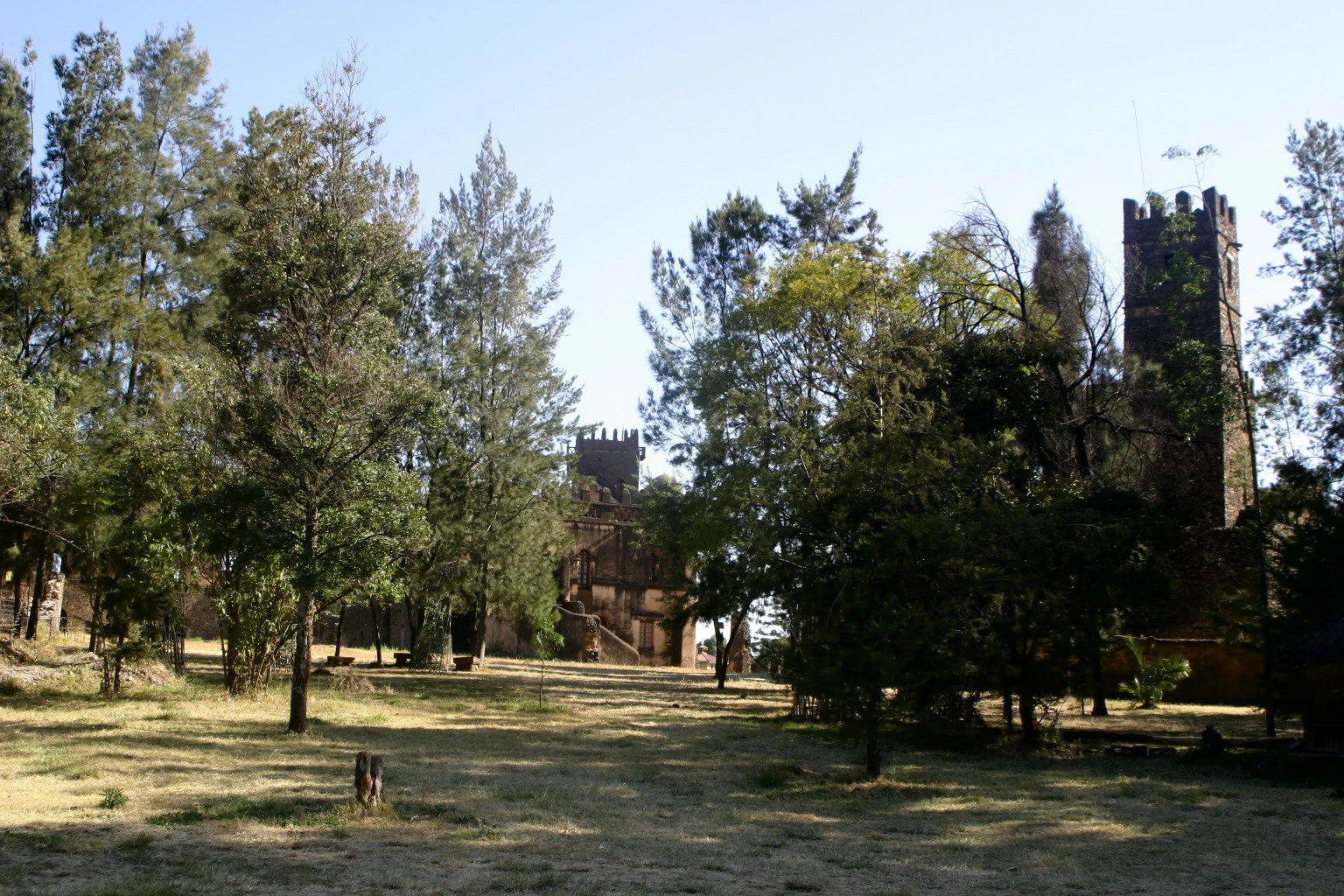 Castle towers rise among trees in the Fasil Ghebbi royal compound in Gondar.