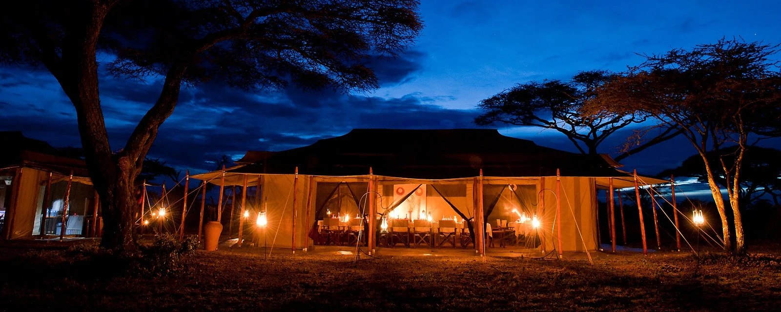 A lantern-lit tented camp under acacia trees at night in the northern Serengeti