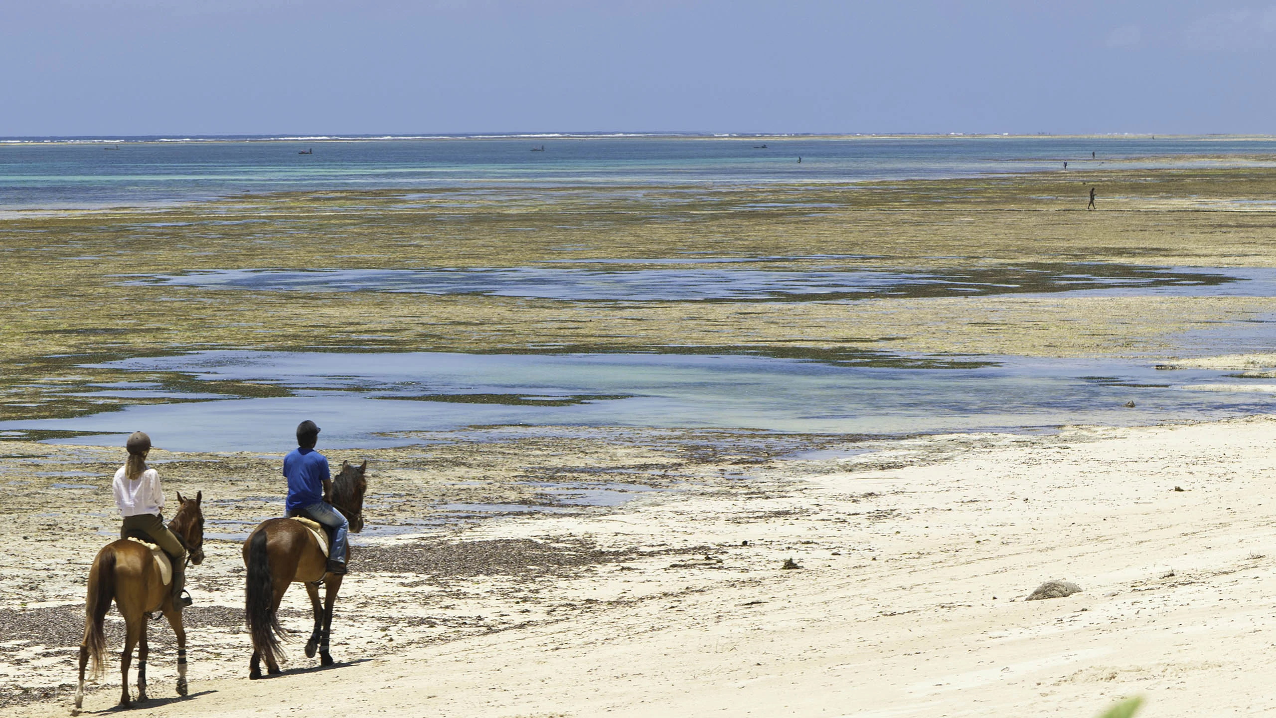 Horse riders along shore