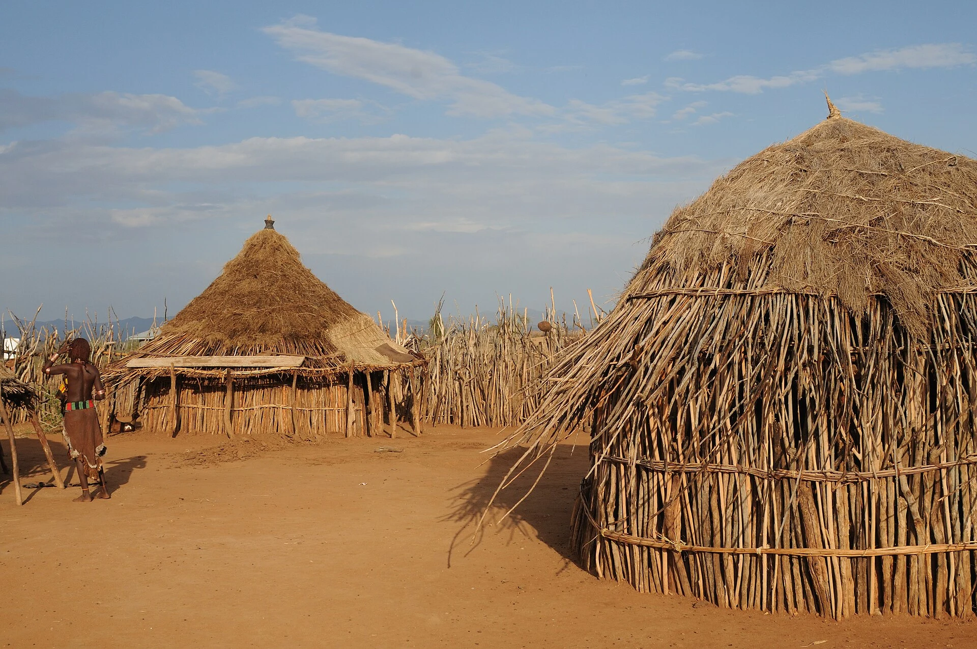 Conical thatched huts and wooden fences in a traditional Hamar village.