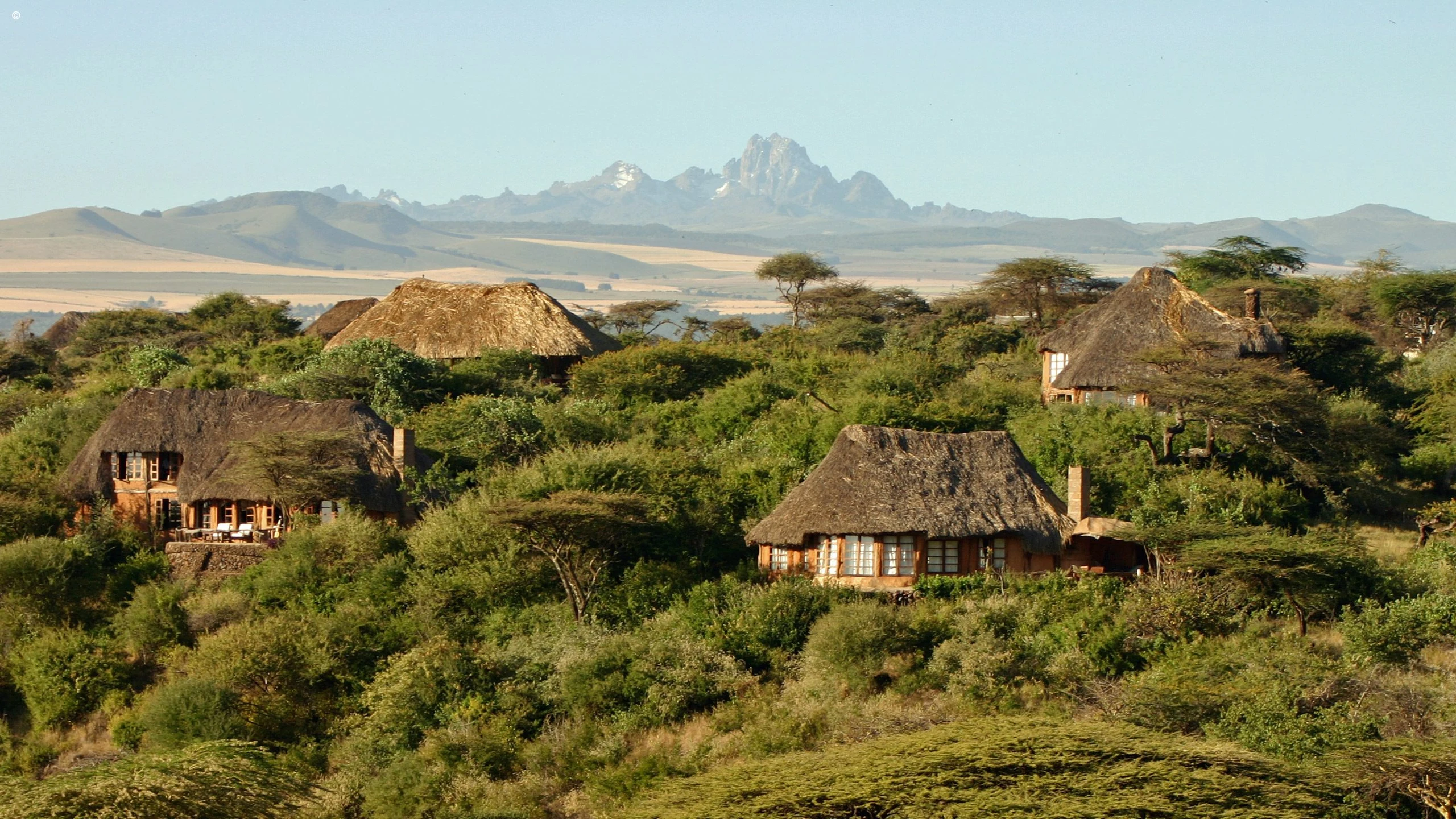 Thatched lodges amid green scrub