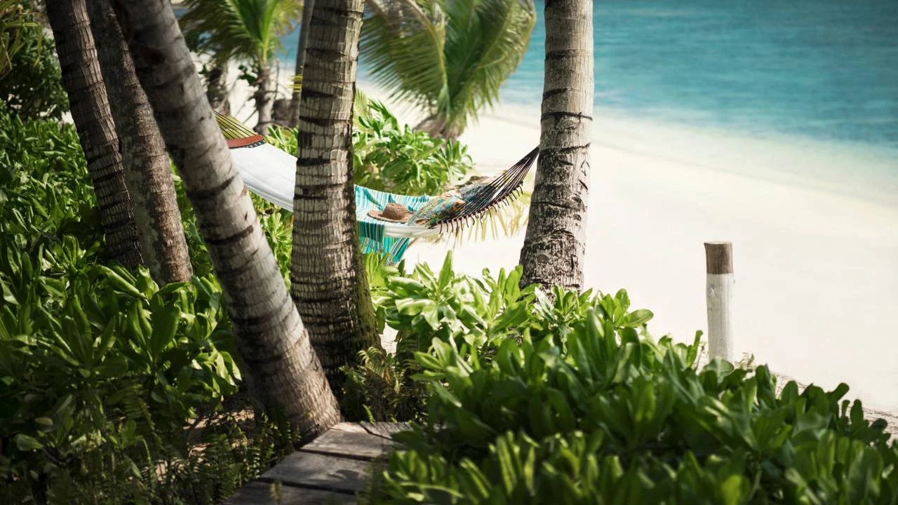 Hammock strung between palm trunks above a white beach