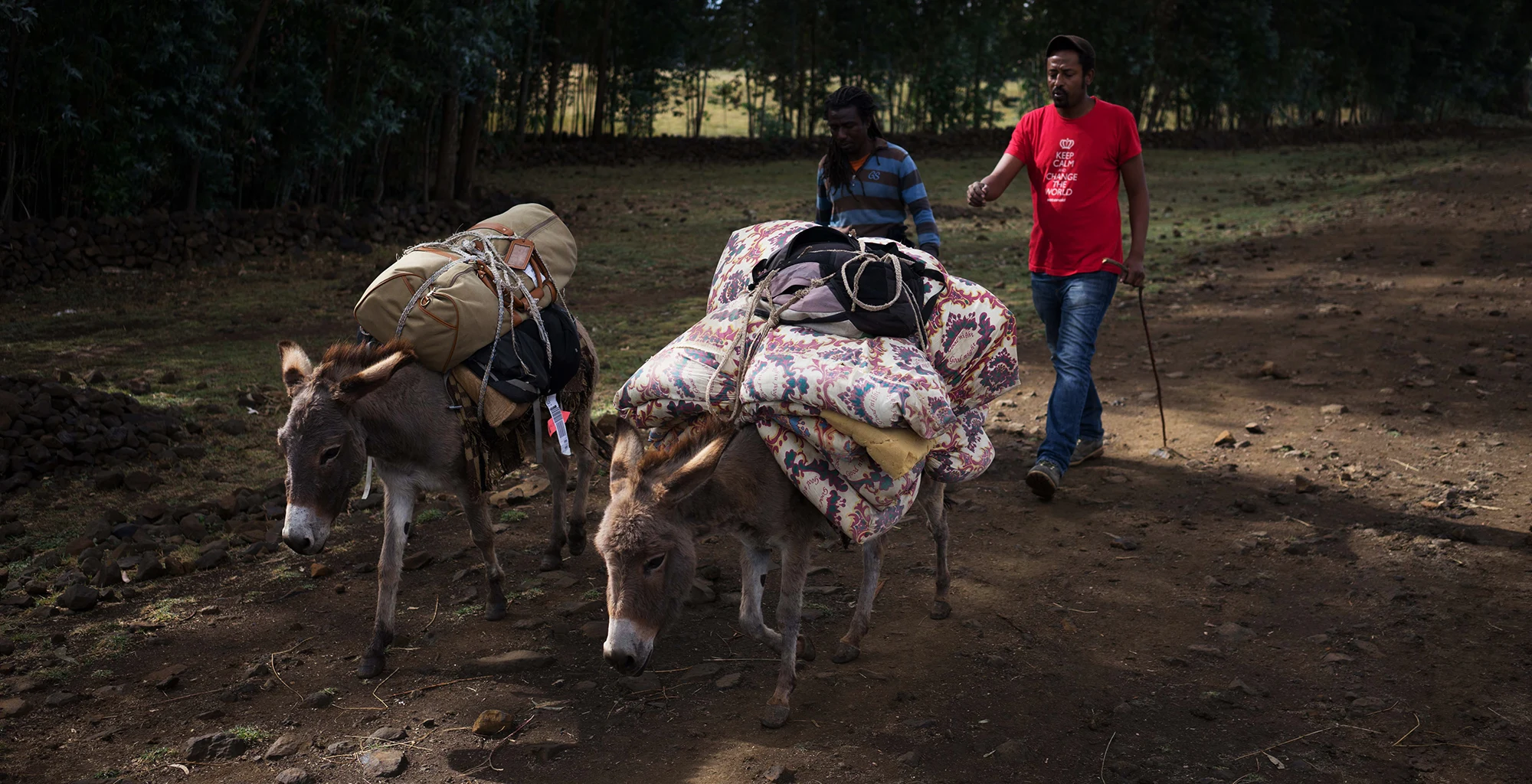 Two men lead donkeys loaded with bedding along a Tigray village path.