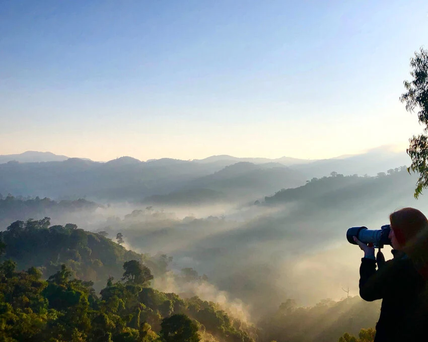 Woman with binoculars silhouetted over misty forested valley at sunrise