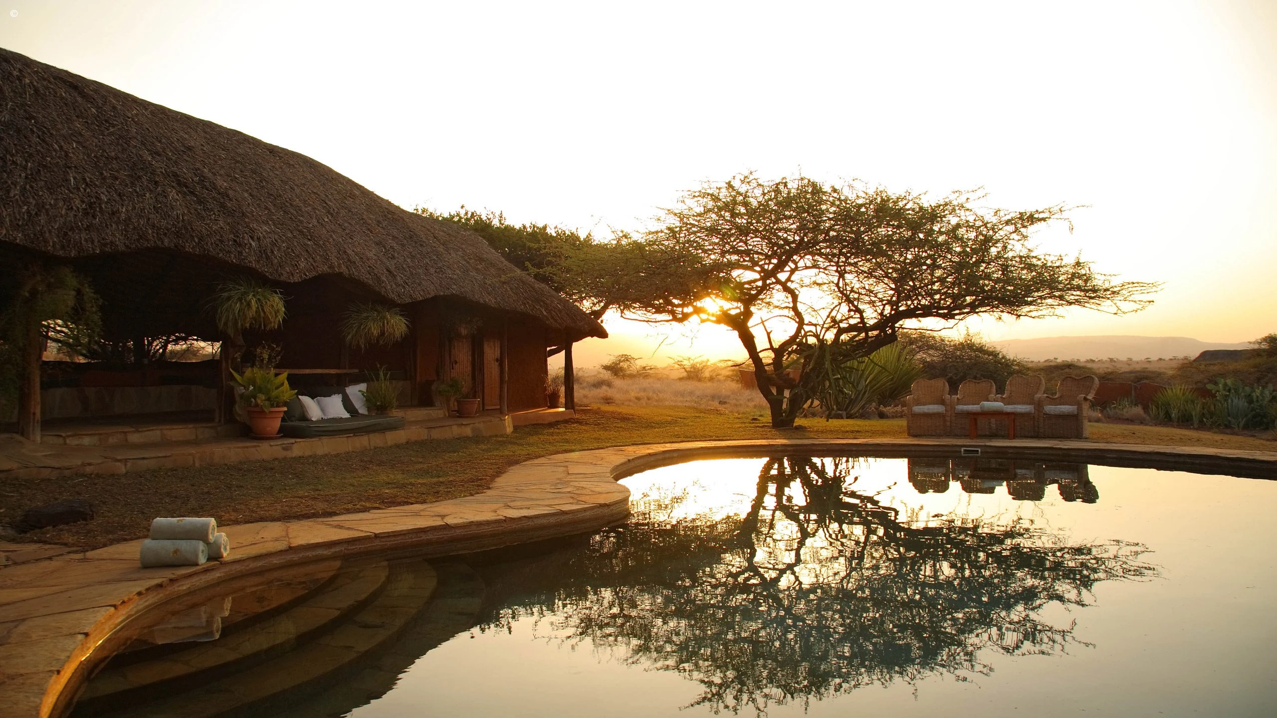 Pool reflecting a tree at sunset at Lewa Safari Camp