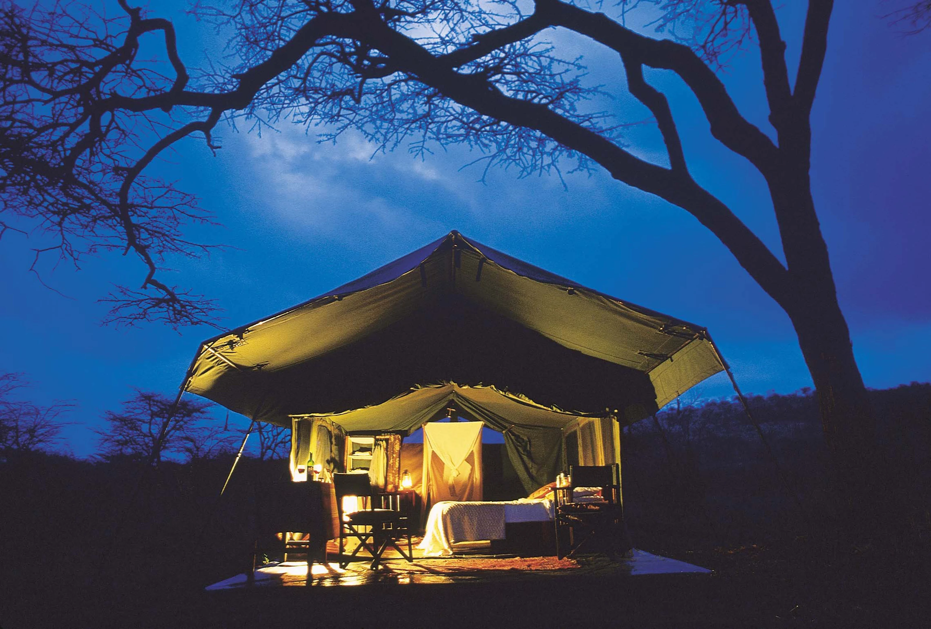 A private mobile camping tent lit up beneath trees at night