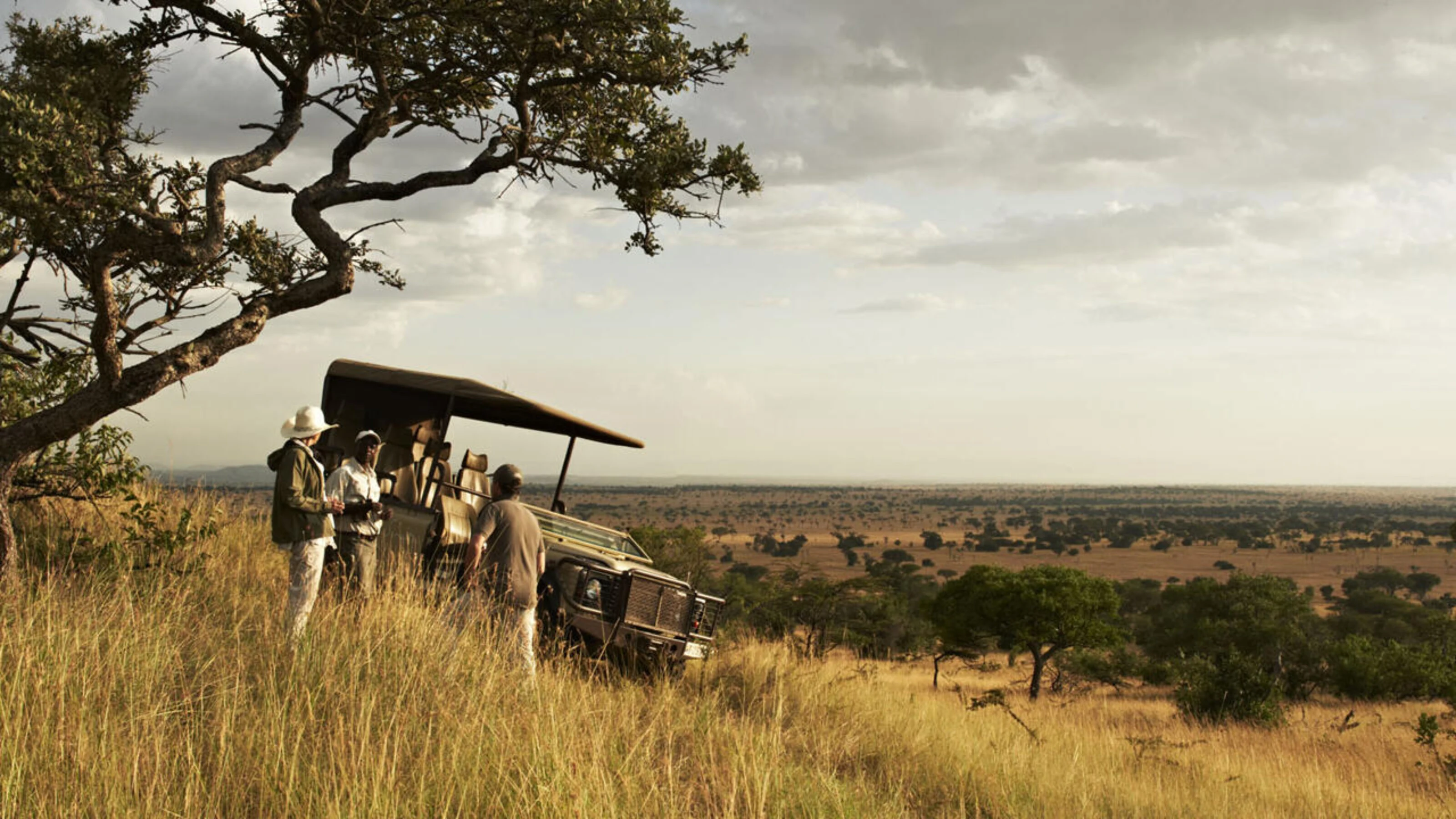 Safari vehicle with guests on a golden hillside overlooking savanna