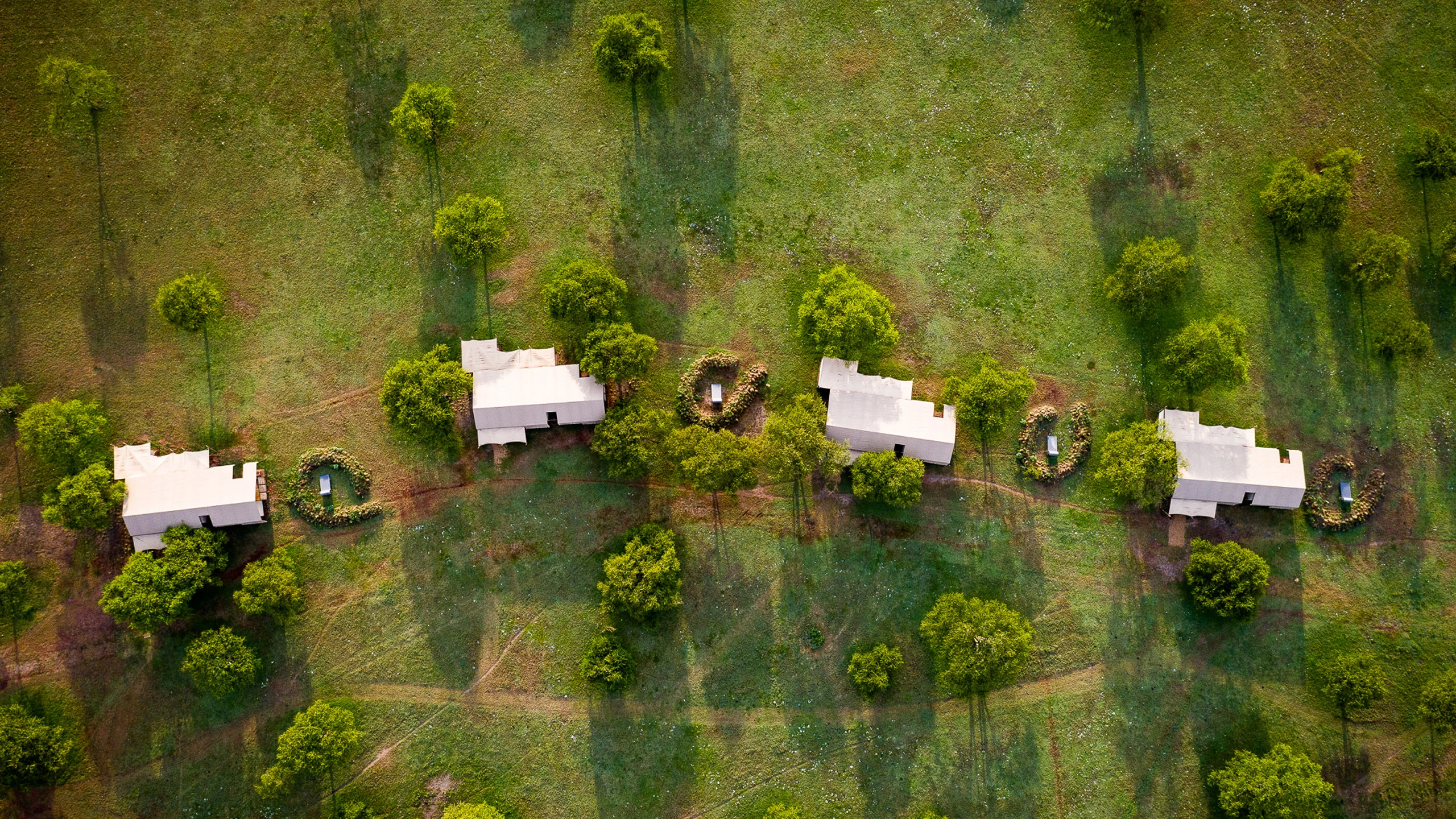 Overhead view of tents on green lawns