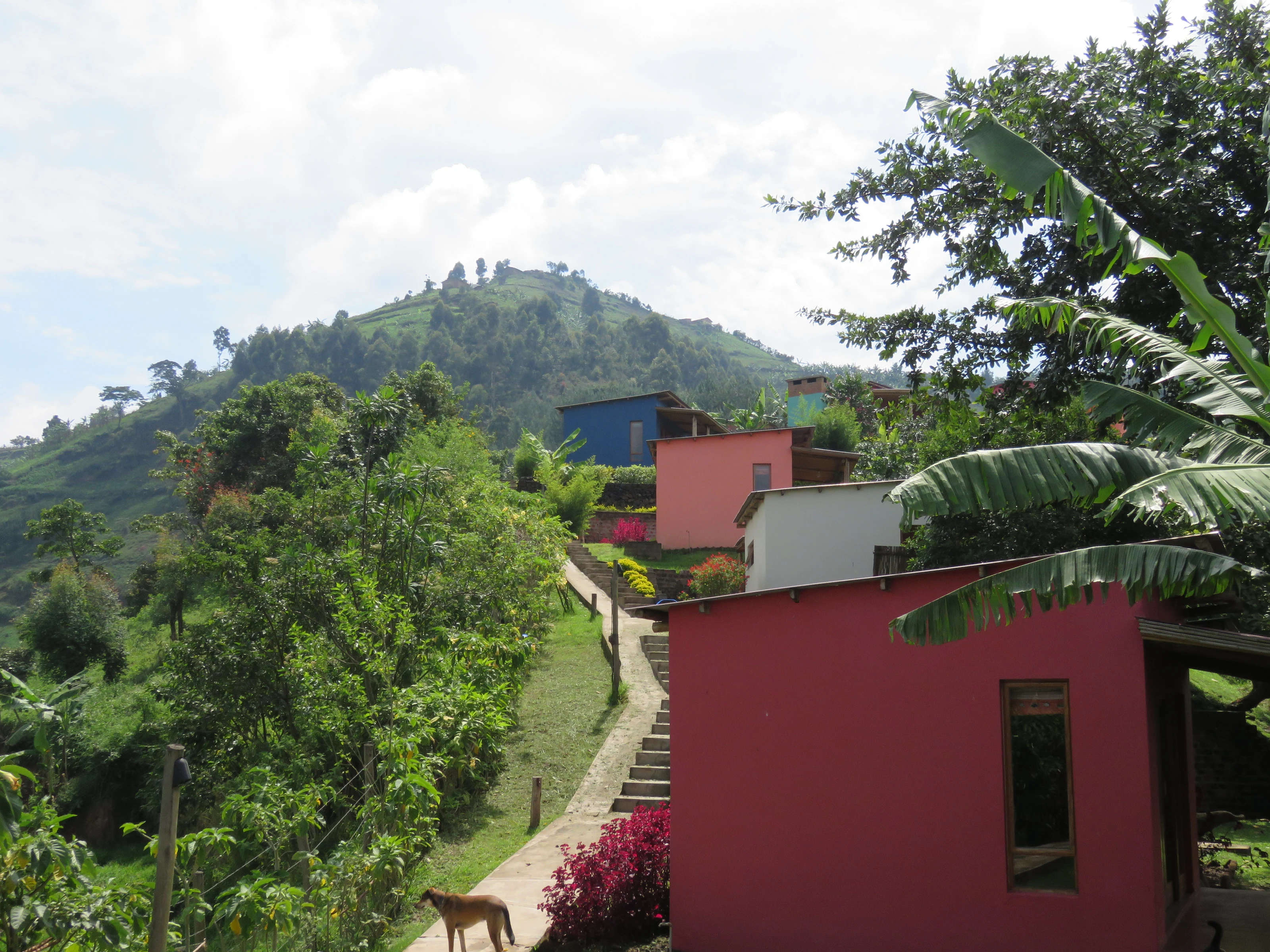 Chameleon Hill Lodge, Lake Mutanda