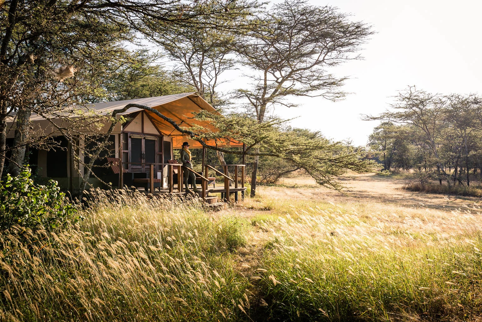 Kusini Camp, Serengeti, Ndutu South