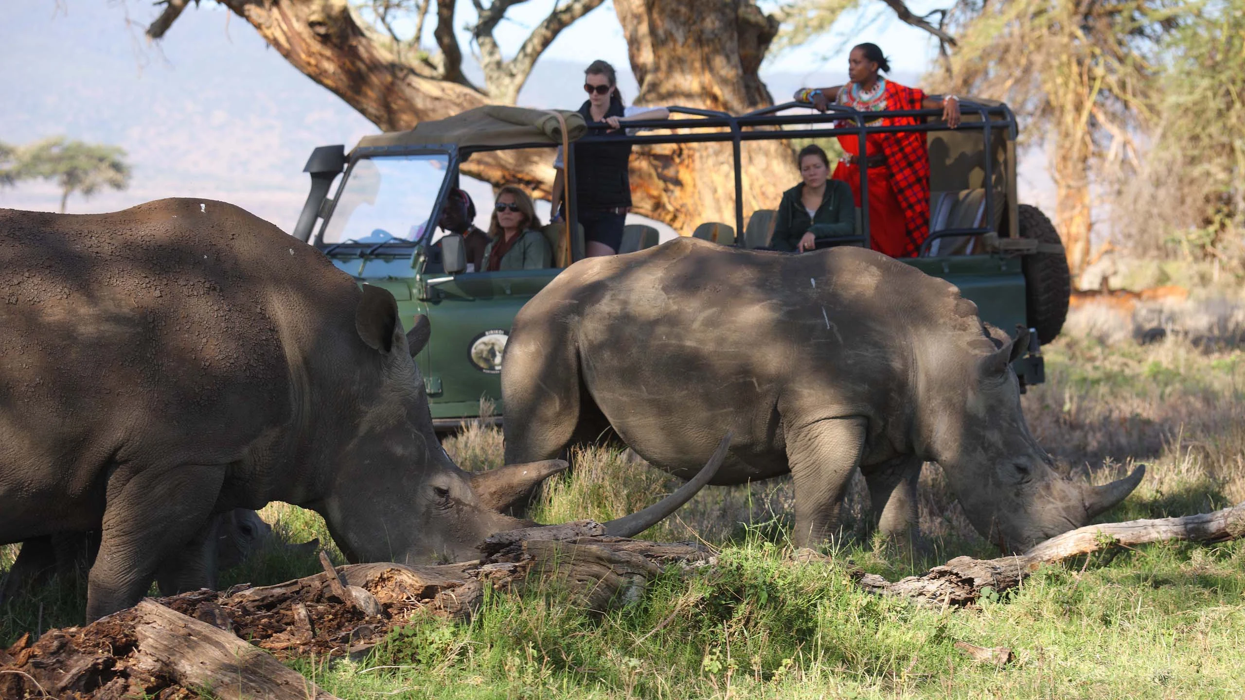 Guests in a safari vehicle beside two rhinos at Lewa