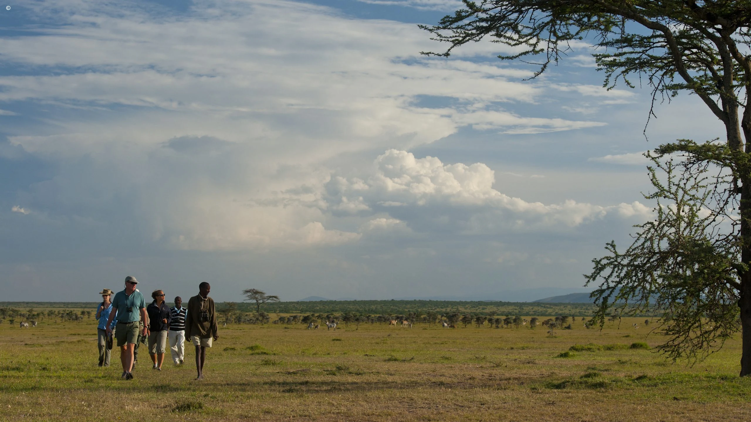 Walkers crossing open plains at Ol Pejeta