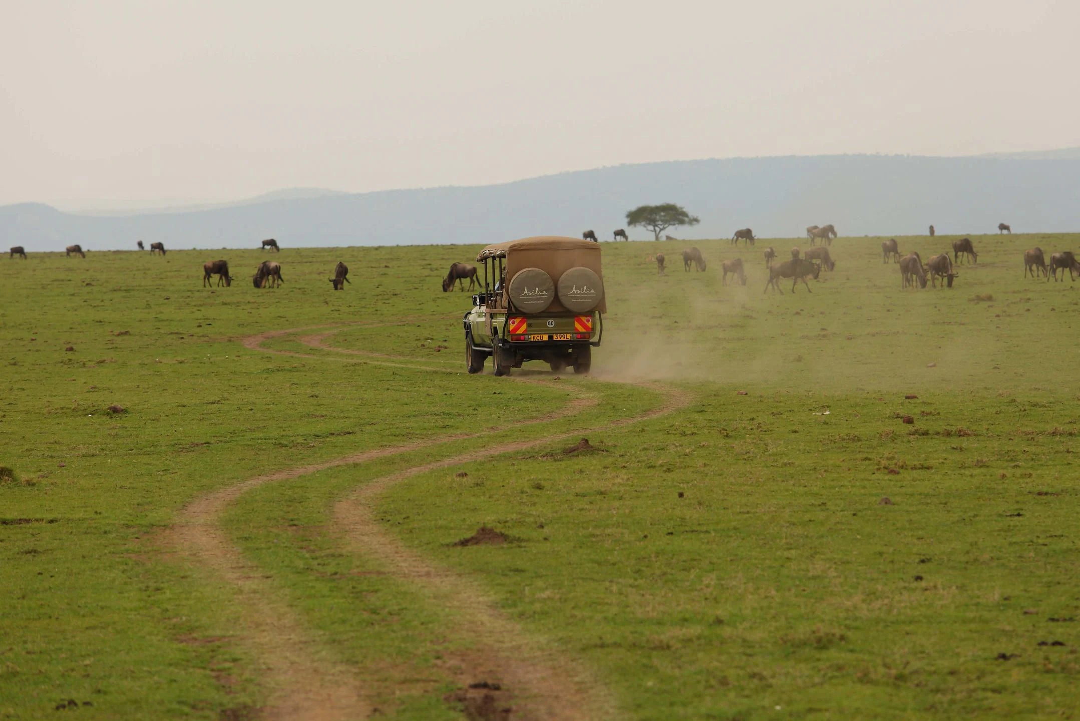 A safari vehicle on a dirt track across open plains in Naboisho
