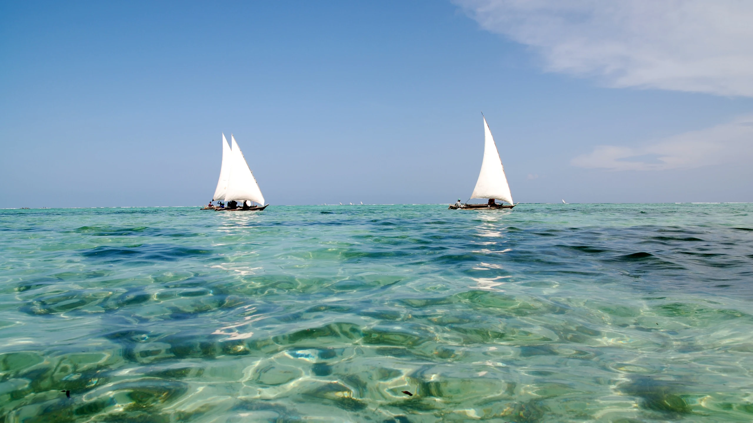 Two white sailed dhows on clear shallow water