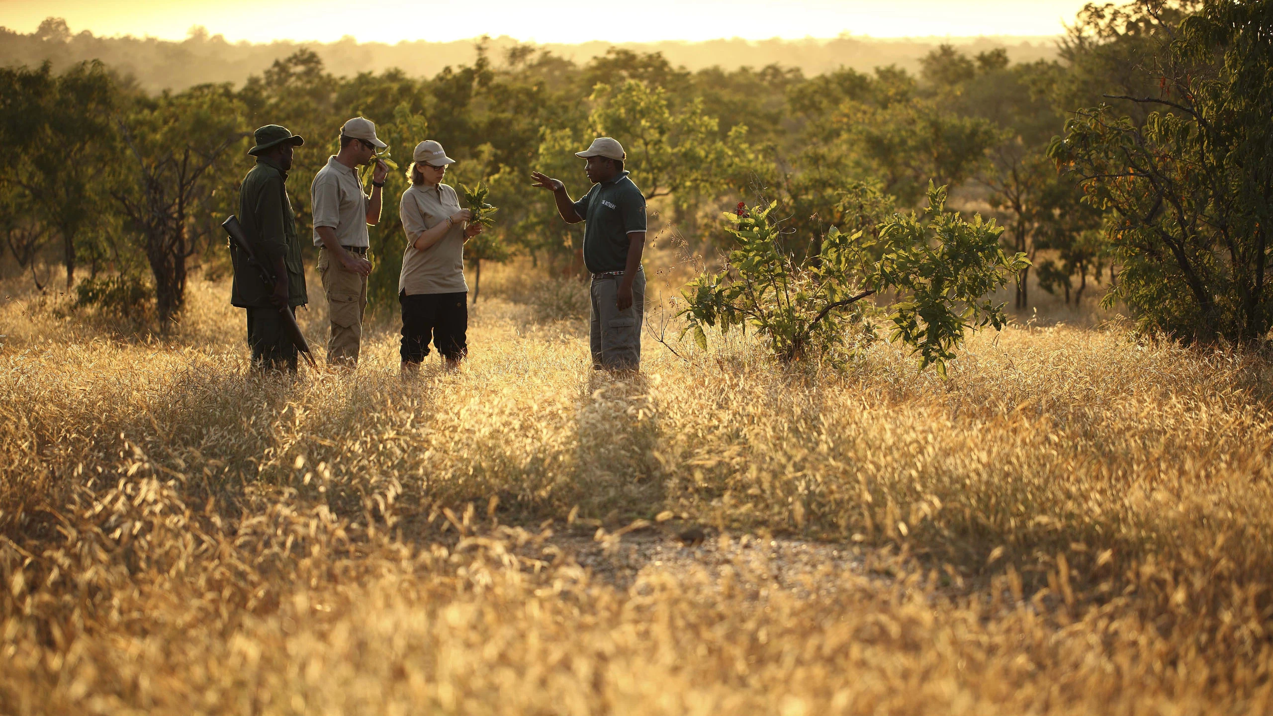 A guided walking group crossing grassland in Nyerere National Park