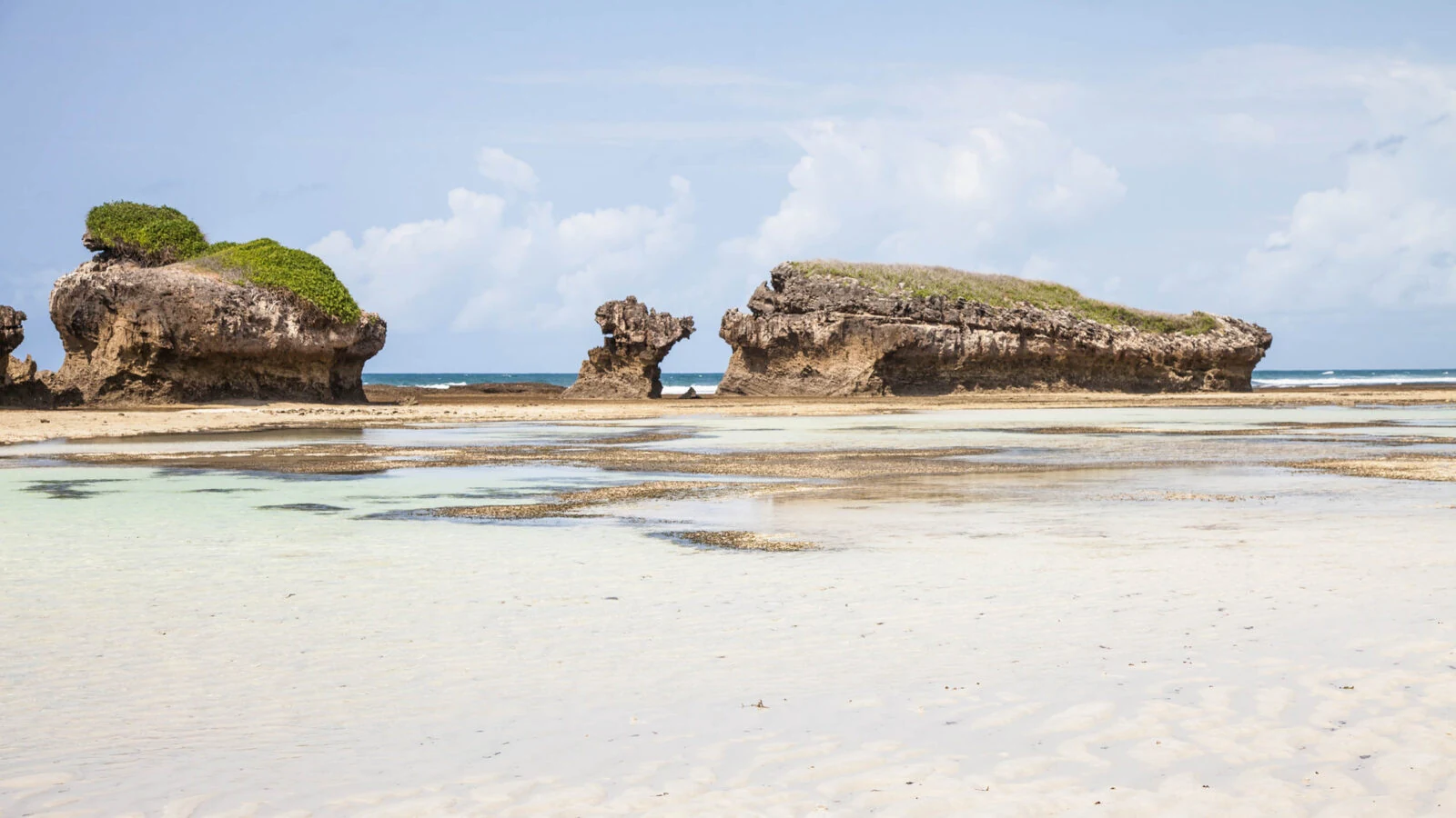 Coral rock stacks with green tops on shallow low tide flats