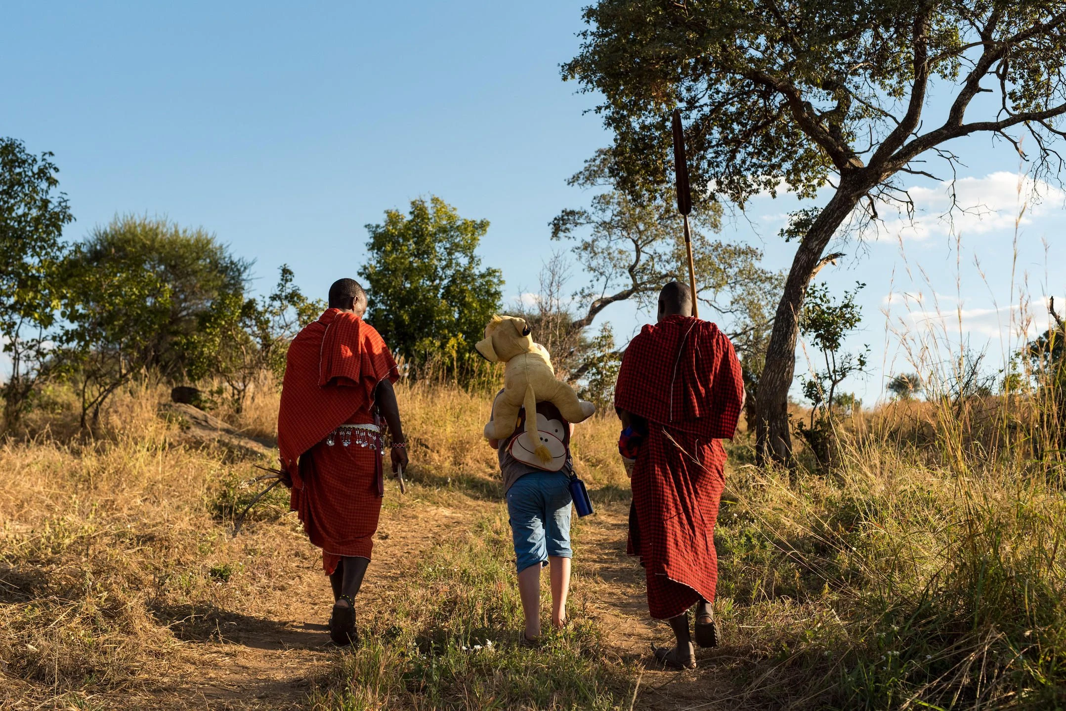 Two Maasai guides walking with a guest through highland grass