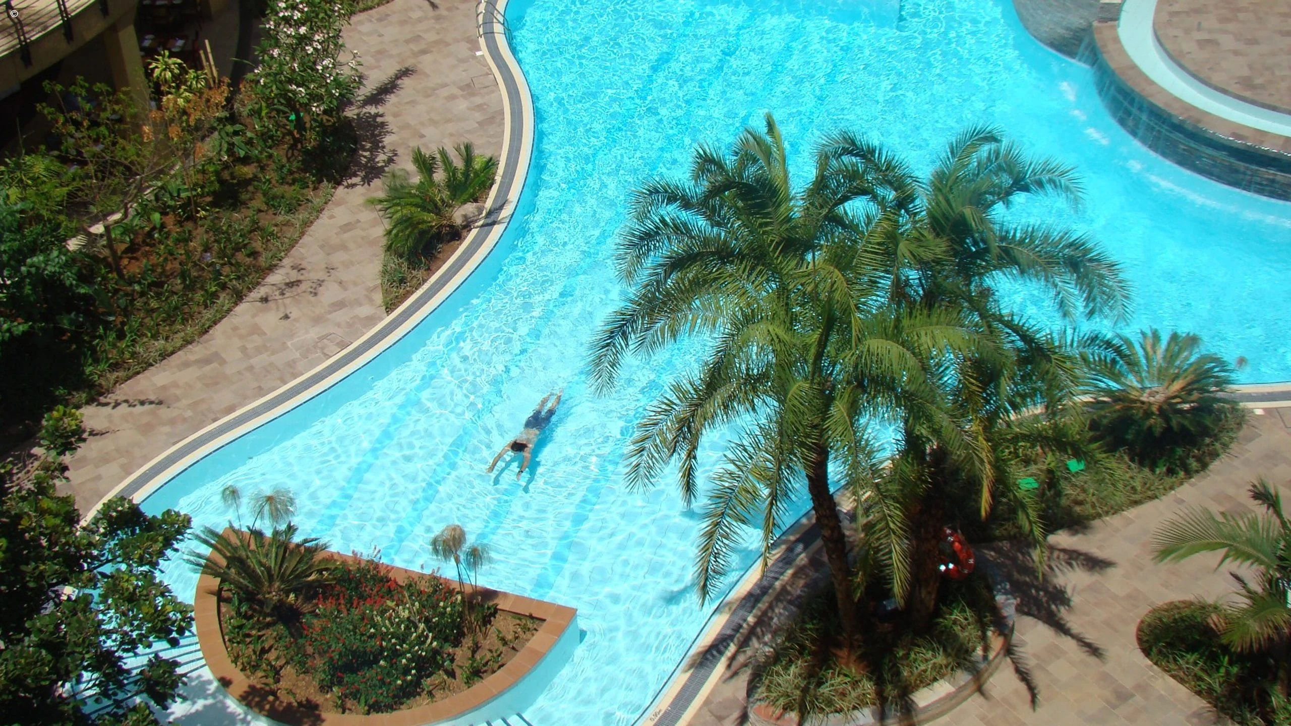 Curved pool viewed from above